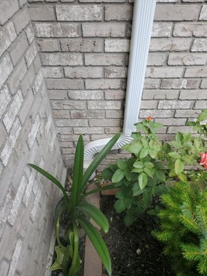 Gutter Installation using 5" Seamless Aluminum Gutters