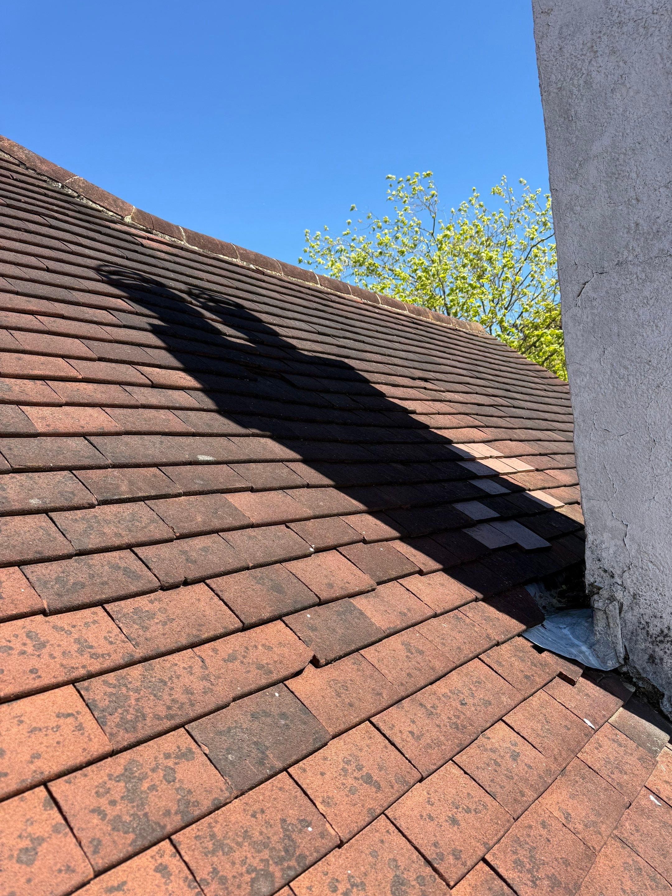 Driveway and Roof Clean Epsom by Ges Exterior Cleaning ltd