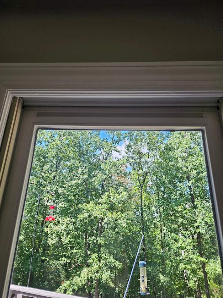 Monacelli Project in  Indian Springs by The Window Source