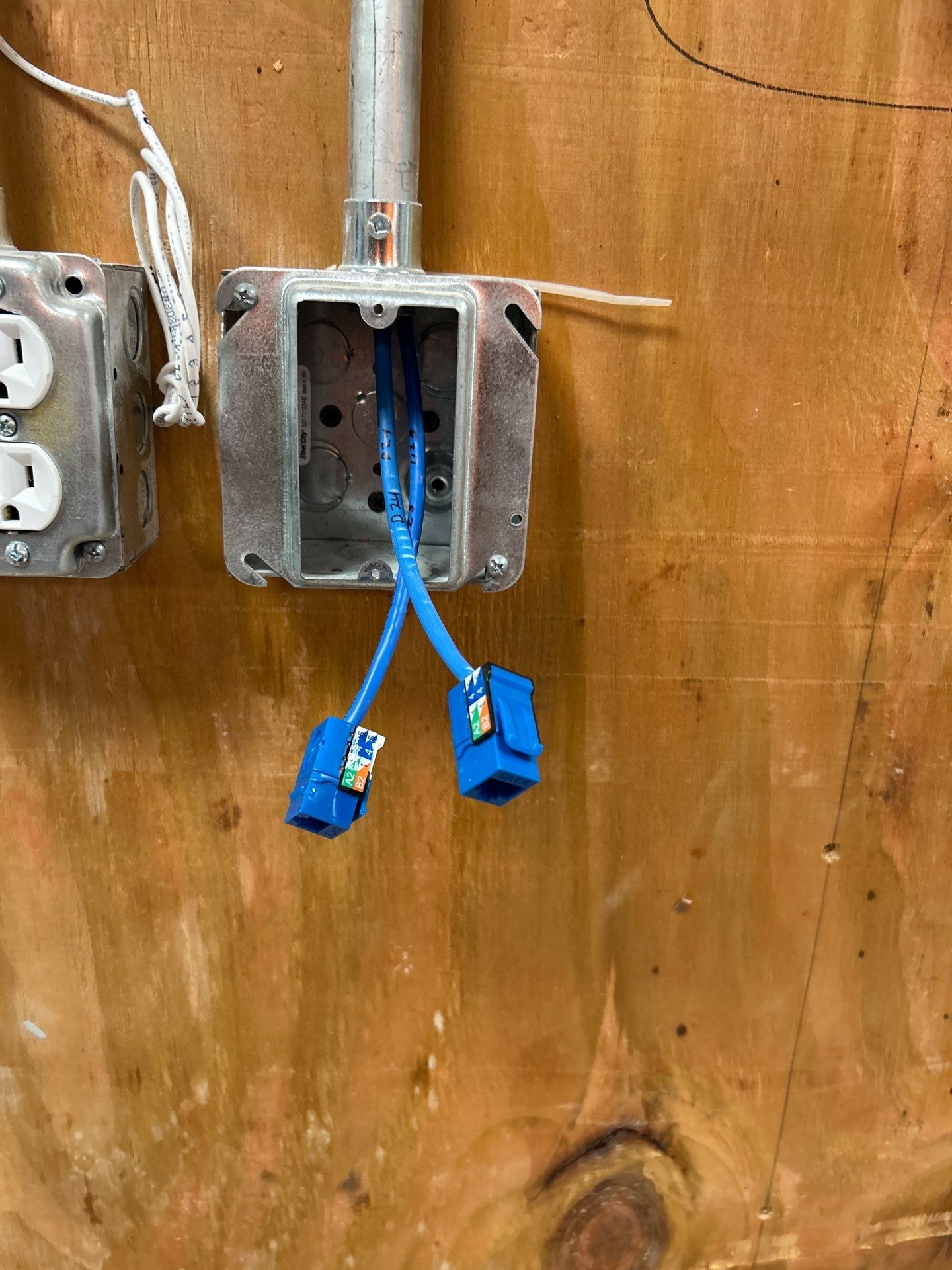  Consumer Cellular Retail Store Buildout – Largo, FL – Security, Networking & Low-Voltage Installation by TeleCommPro