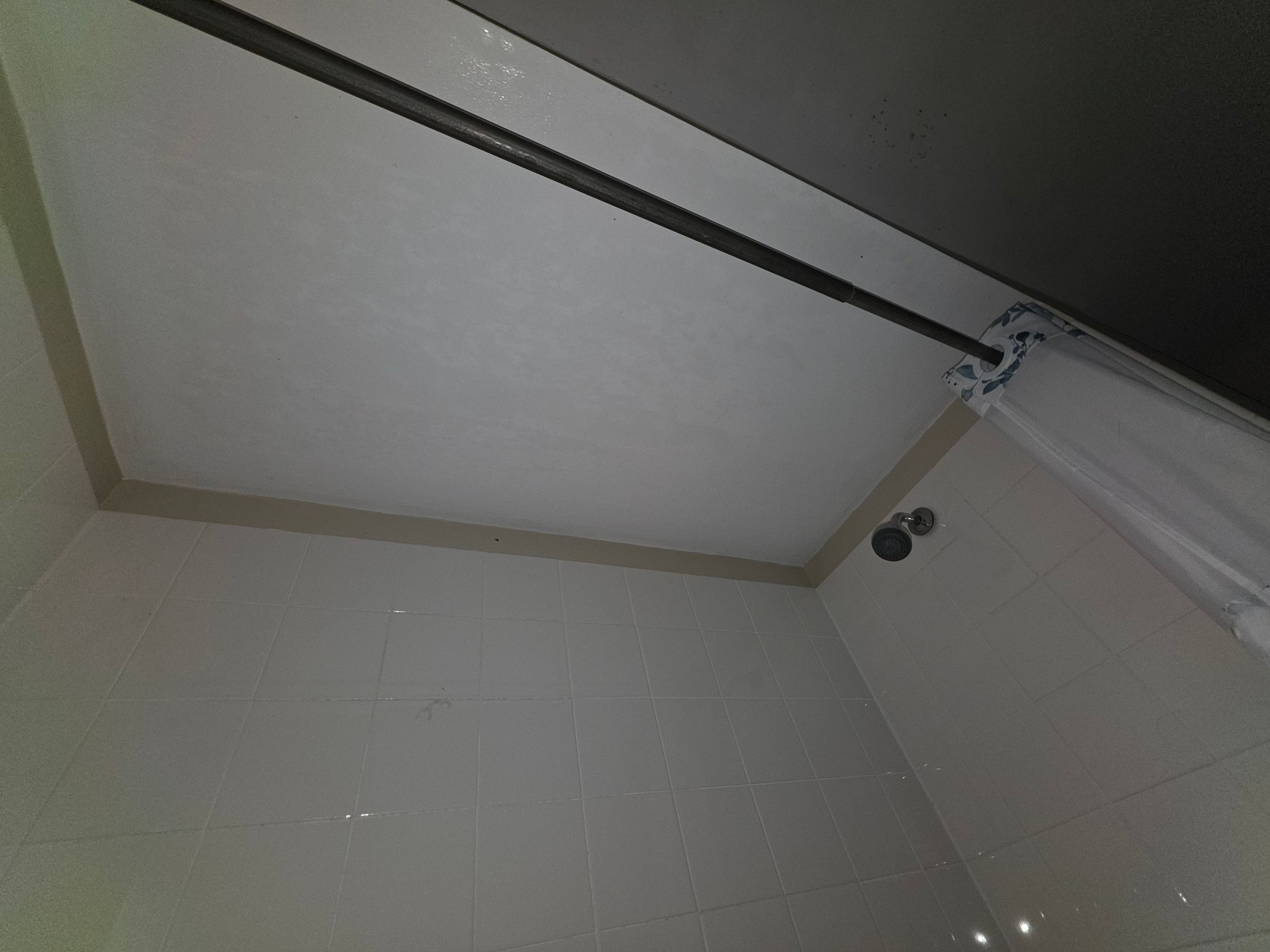Bathroom Mold by Chicagoland Water Medics