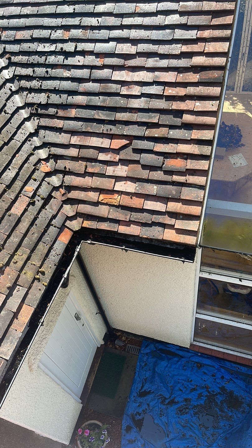 Roof Clean - Biocide Treatment using Honda 15lpm Low Pressure Washing Machine by Ges Exterior Cleaning ltd