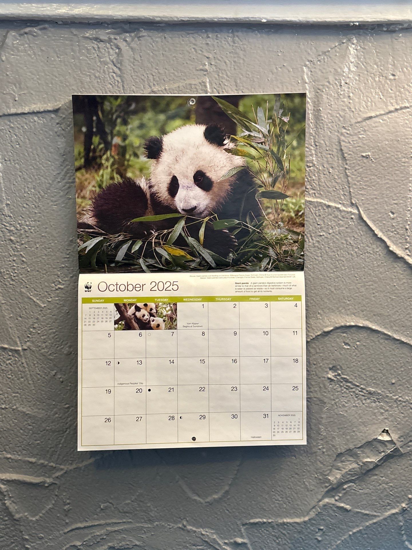 Drew's House by CompanyCam | Account Management Demo Account