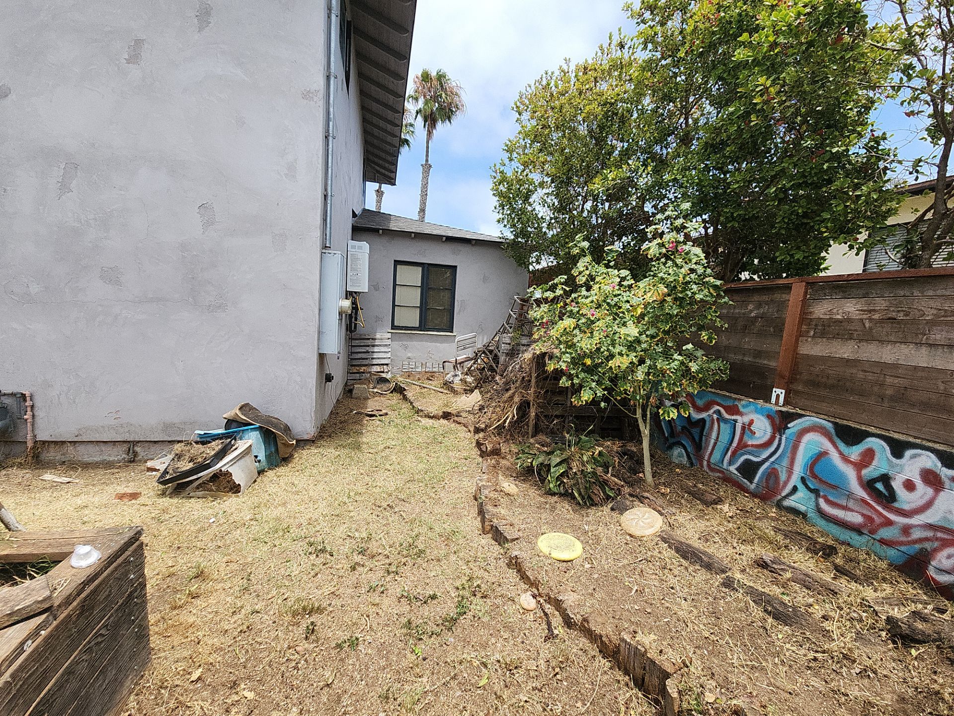 San Diego Landscape Clean Up by Yard Techs