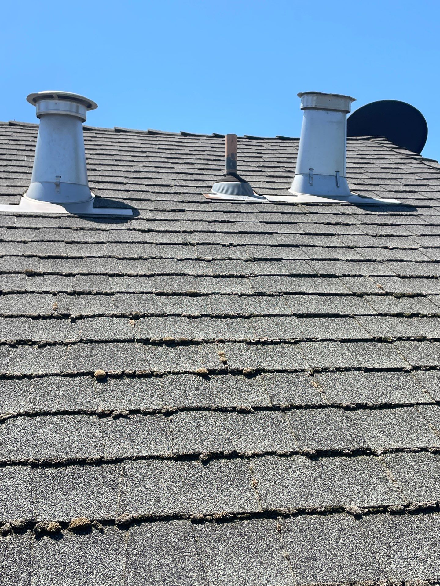 Roof Rejuvenation using Roof Maxx Treatment by Roof Maxx of Folsom