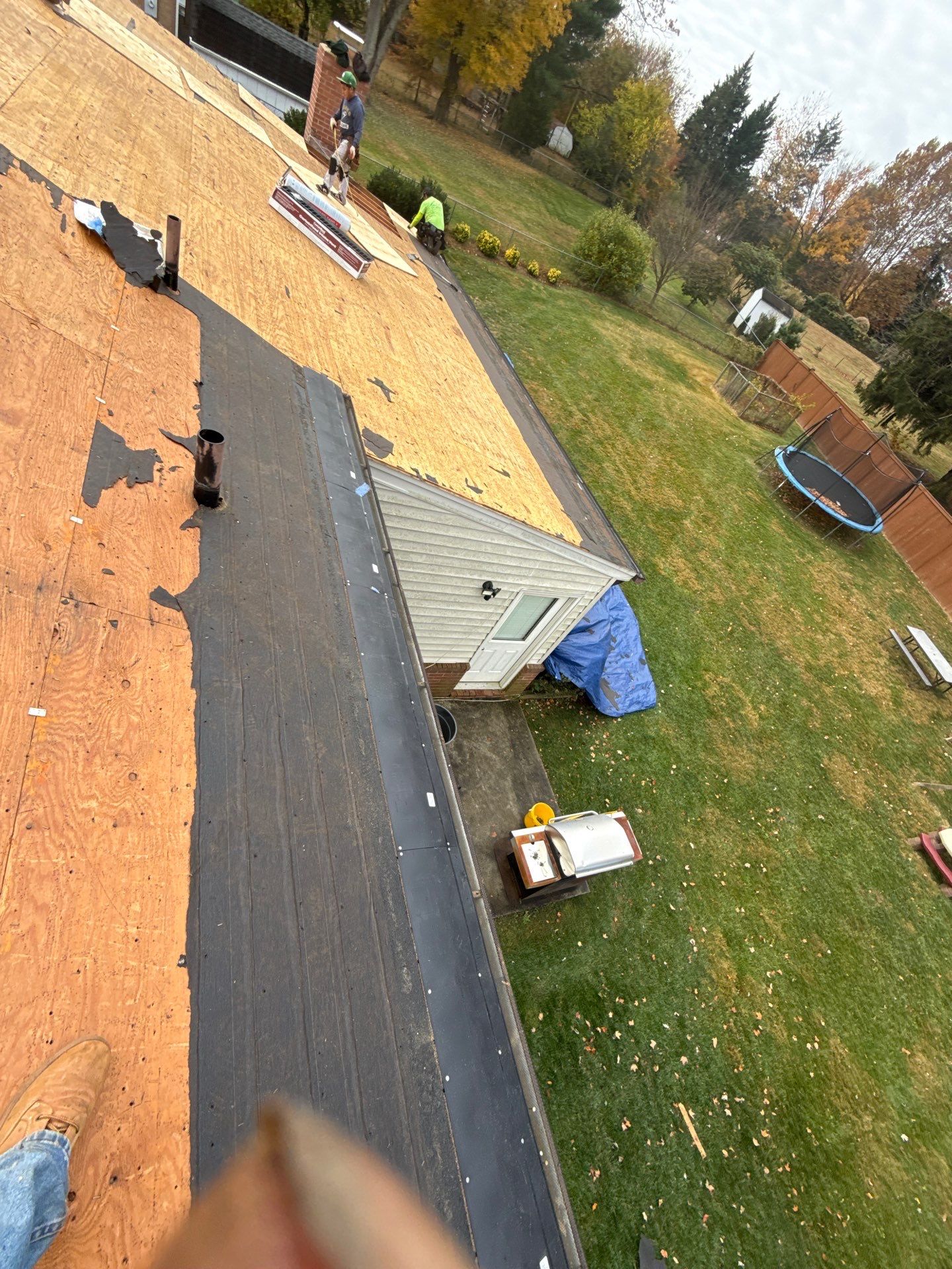 Faifax : Residential Roof Replacement with CertainTeed Landmark Pro in Max Def Coastal Blue  by RM Banning, Inc.