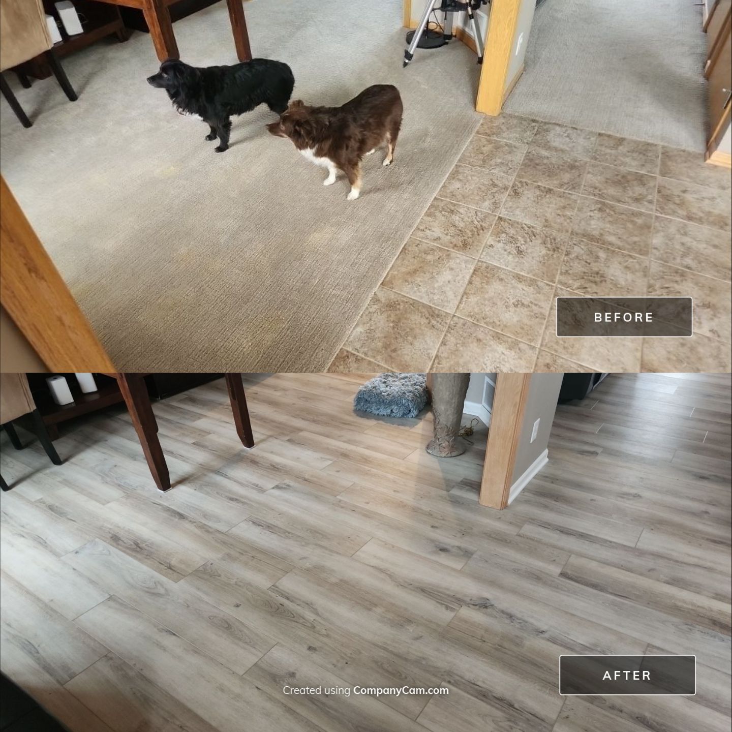 Abby Wenninghoff by FloorCo