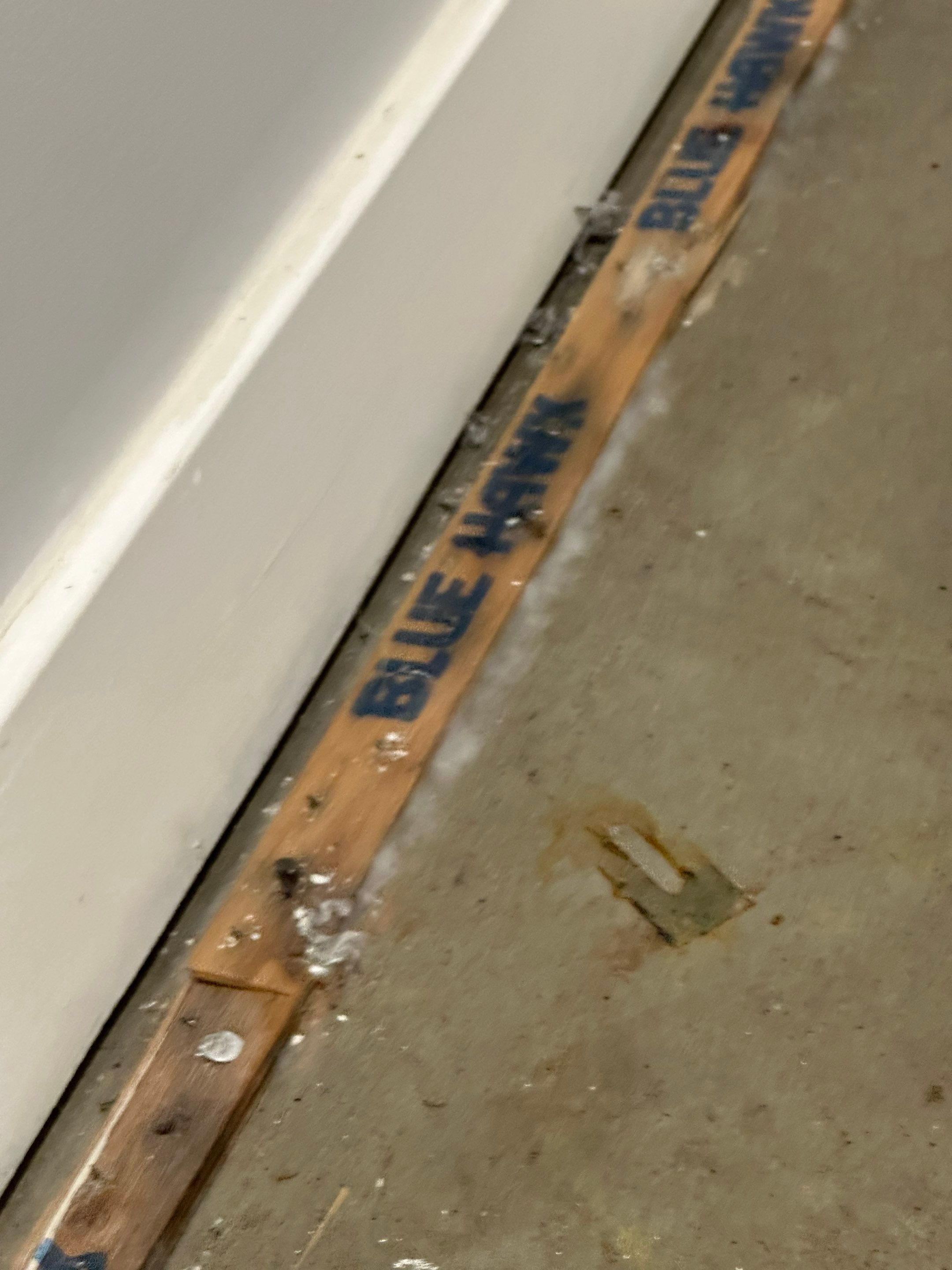 Basemen Oder removal with mold remediation and carpet pad replacement by BlueRed Restoration