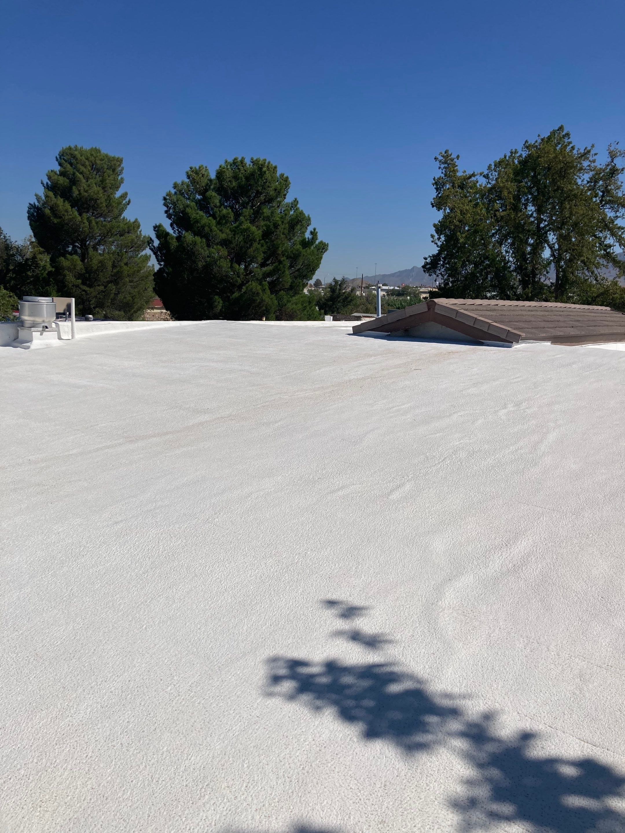 Significant Stucco Damage and Repair by Regal Renovate