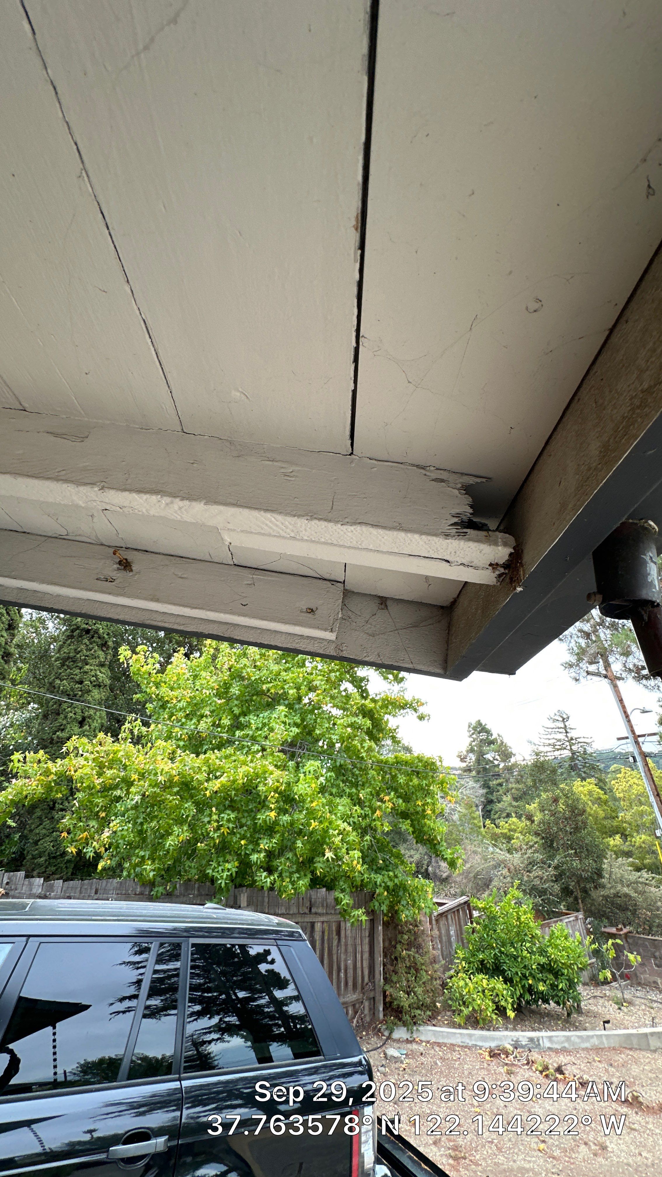 modern painting Exterior modern painting by Herrera’s Bay Area Painting inc.