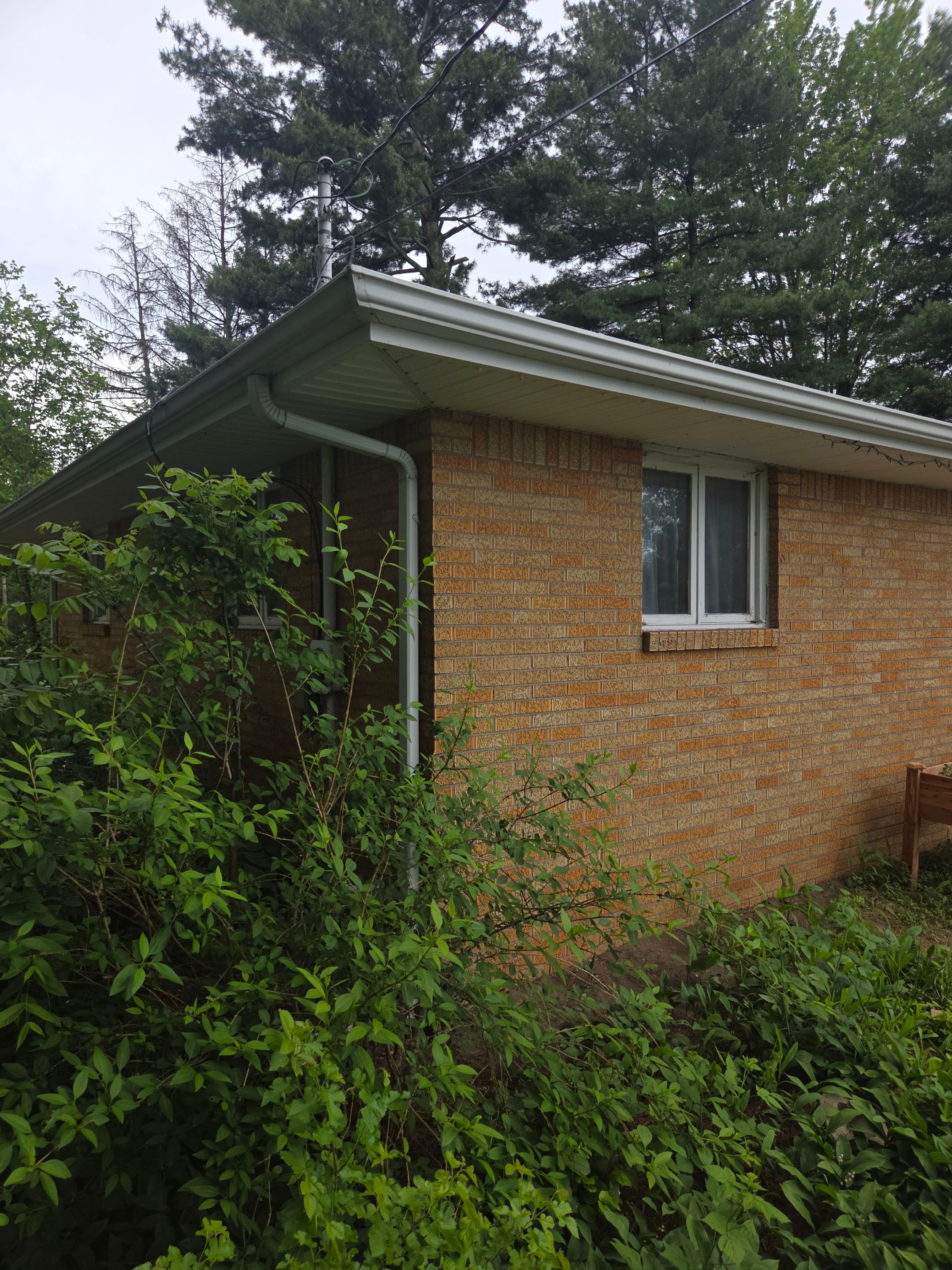 Brightman Investigation by Erie Home