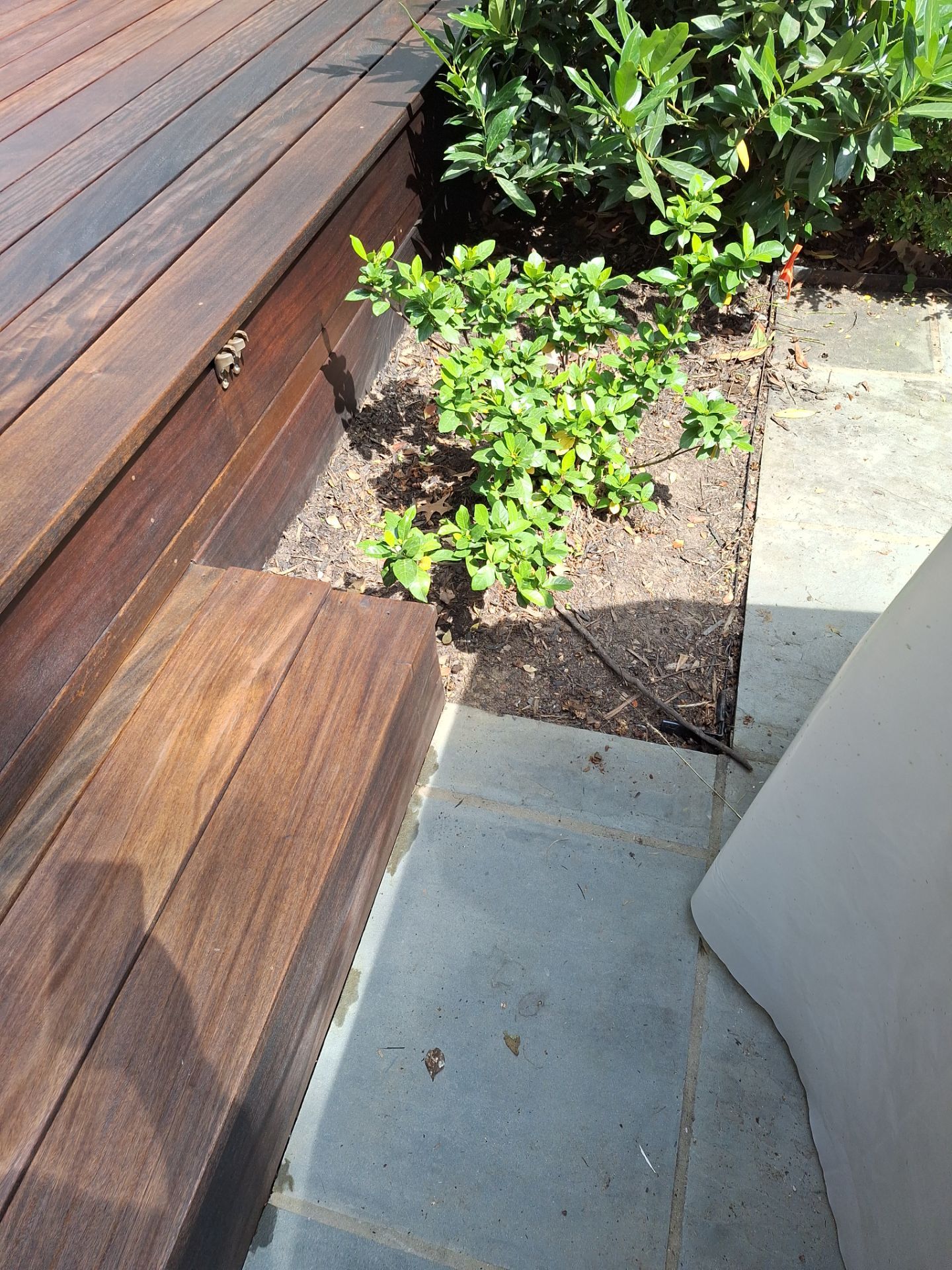 Exterior House Painting in Arlington, VA by My Painter 