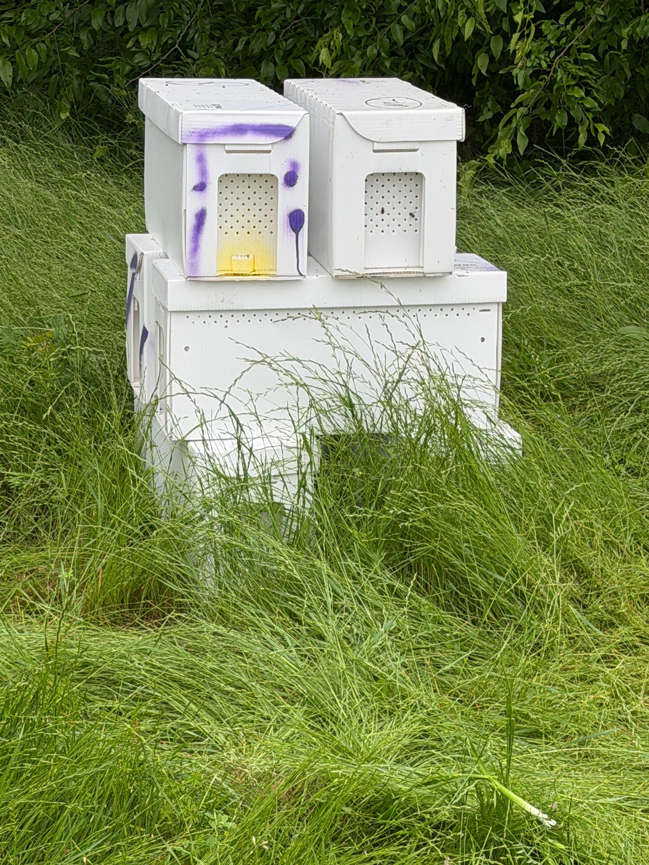 Special Use Valuation in McClendon-Chisolm by Rockwall Honey Bee Company