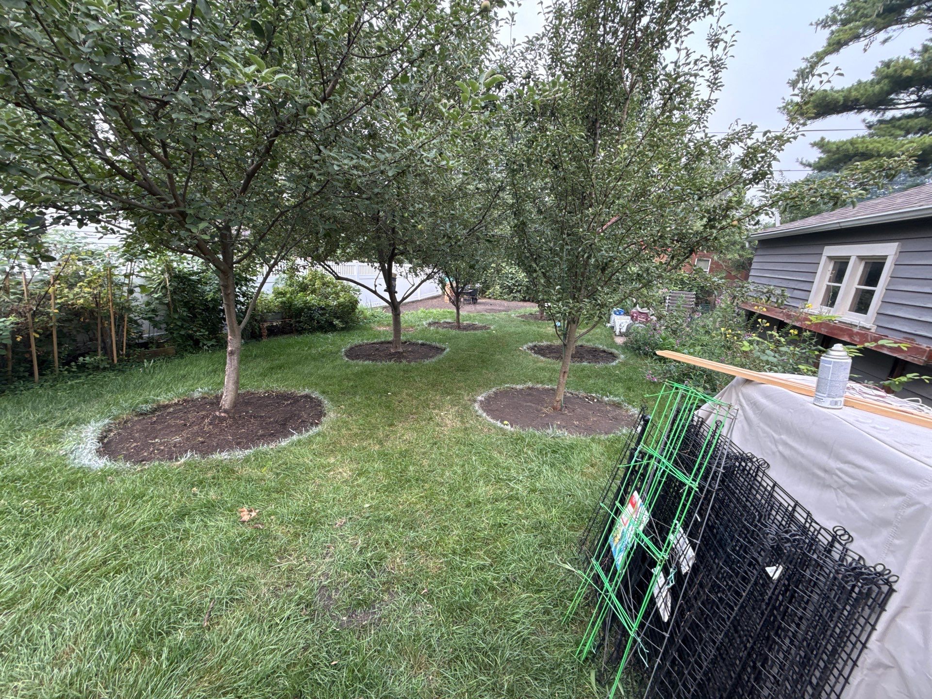 Donna L. - Arlington Heights, IL by A&N