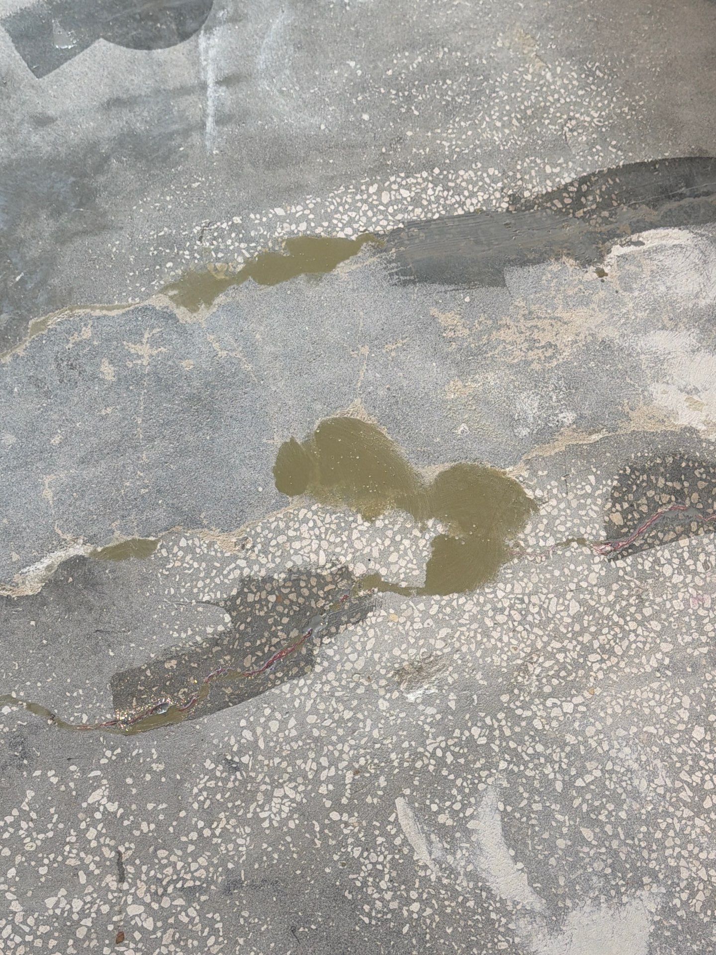 Residential Garage Floor Preparation and Epoxy Coating in Dunedin by Performance Floors & Coating