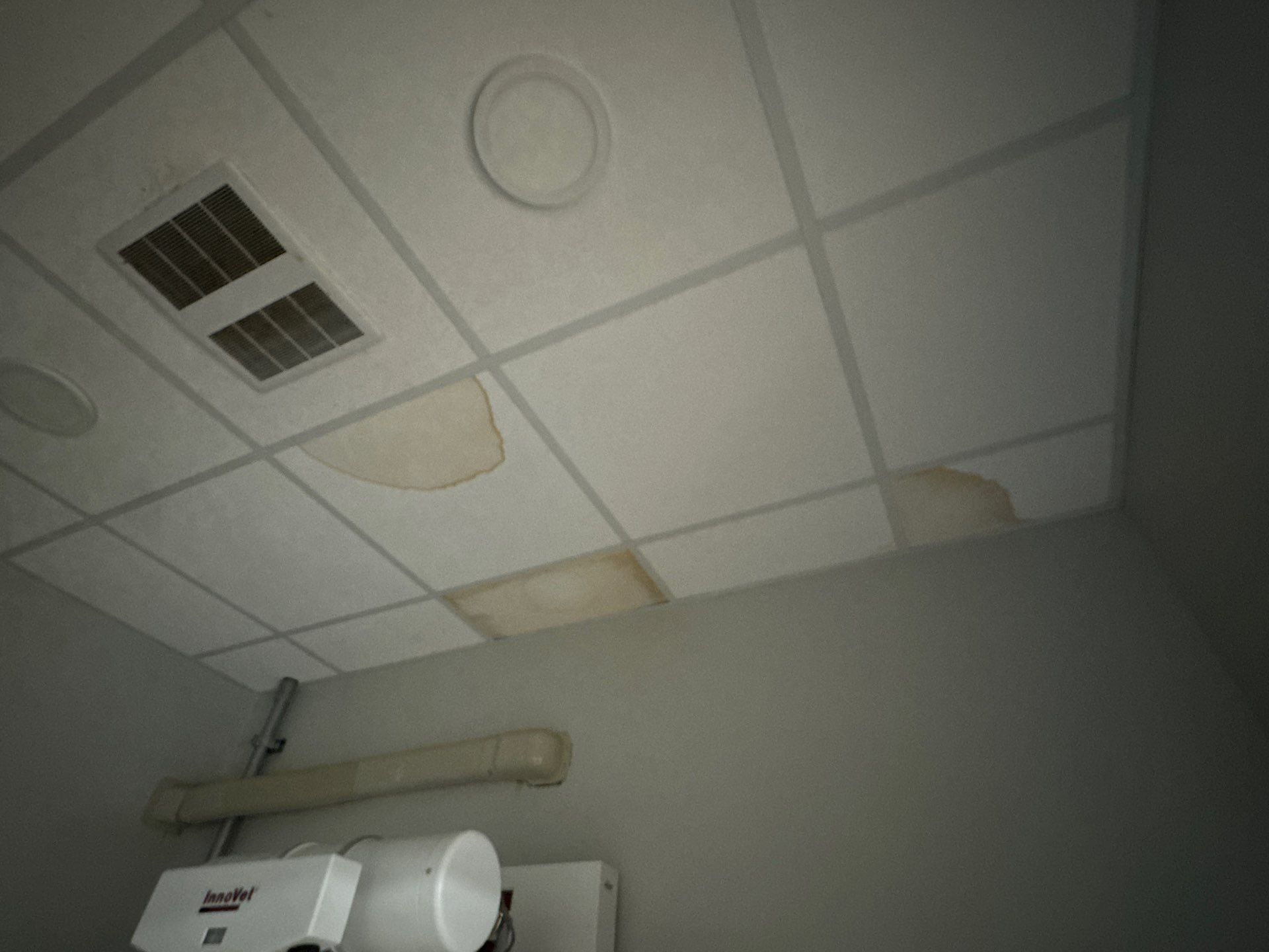 Veterinarian Hospital by Axtra Hand
