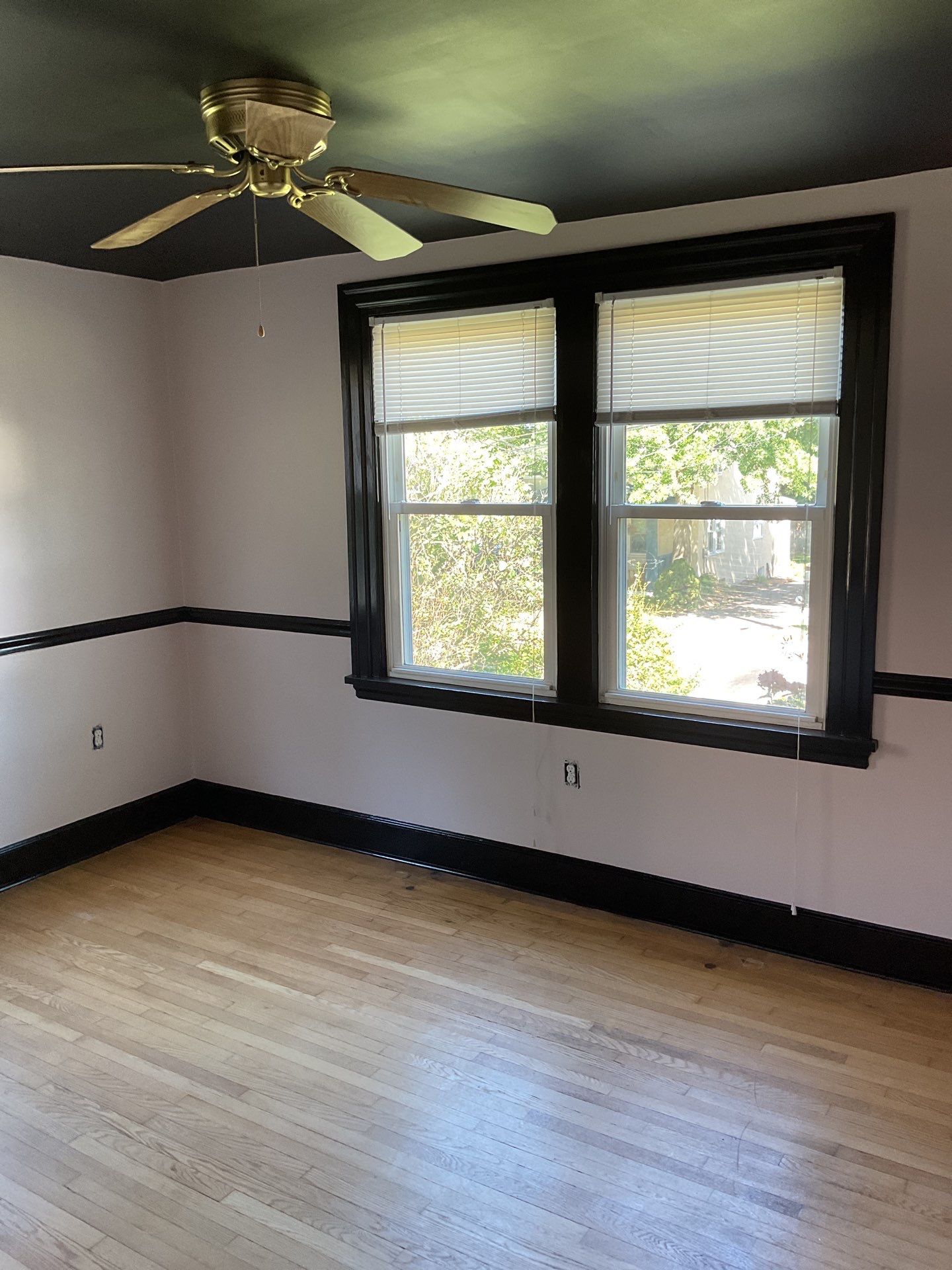 🖤 Moody Meets Warm: A Color-Forward Transformation in Abington by Groovy Hues
