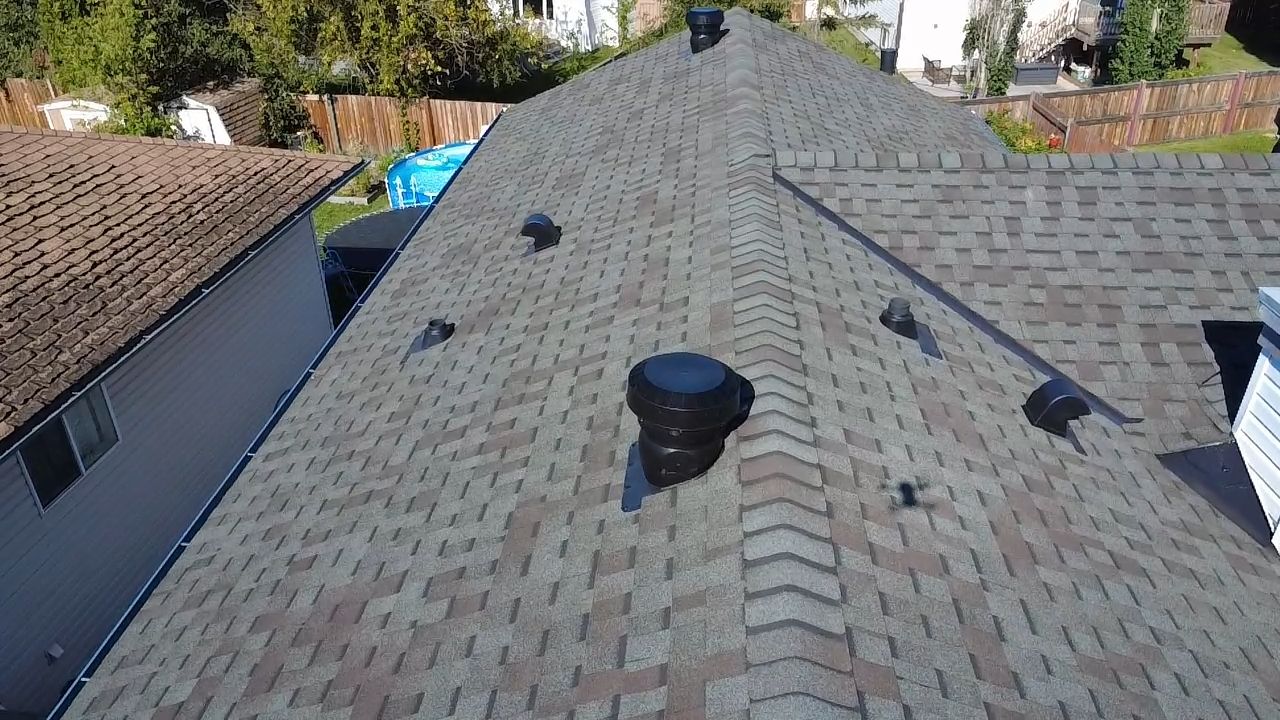 Jasper on Signature Series by 2thetop Roofing