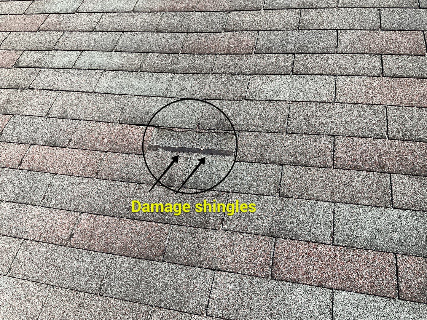 Residential Roofing Installation by Alpha Design Services