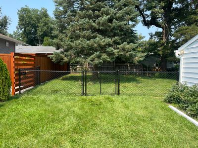 Residential Black Chain Link Fence Installation in Cedar Falls