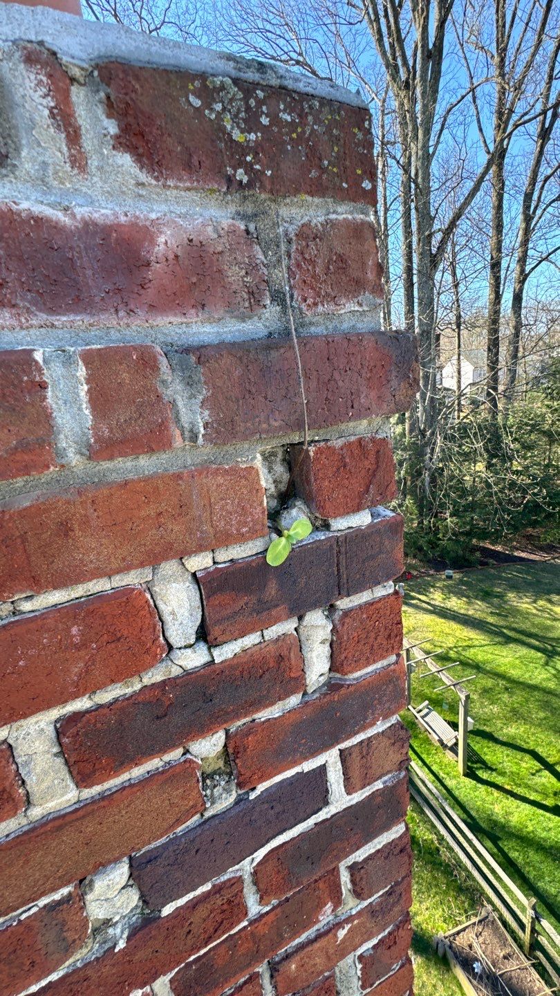 Burke: Residential Roof Replacement with CertainTeed Landmark Pro Designer Shingles in Max Def Driftwood by RM Banning, Inc.