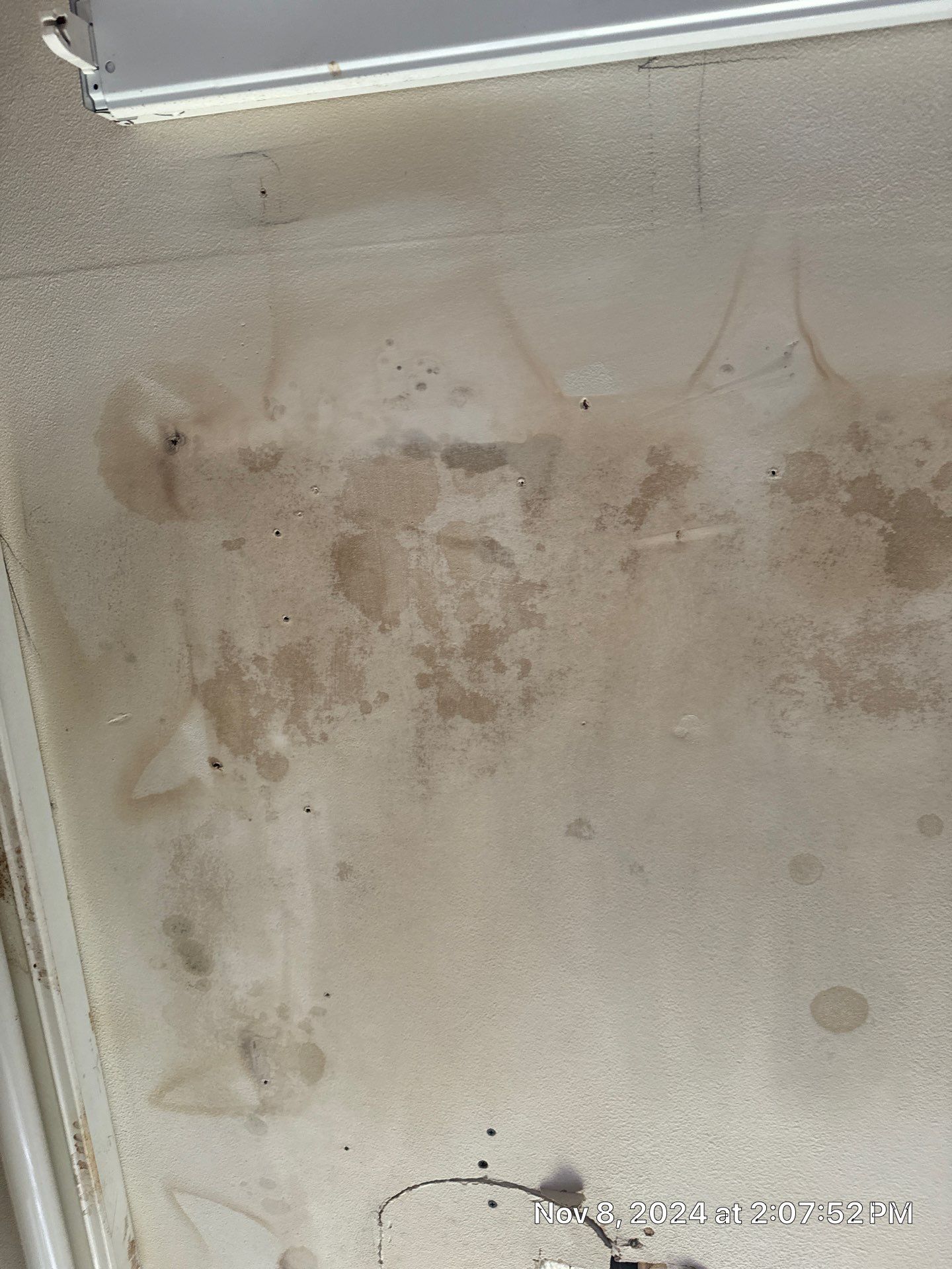 Mold Remediation  by SuperClean 