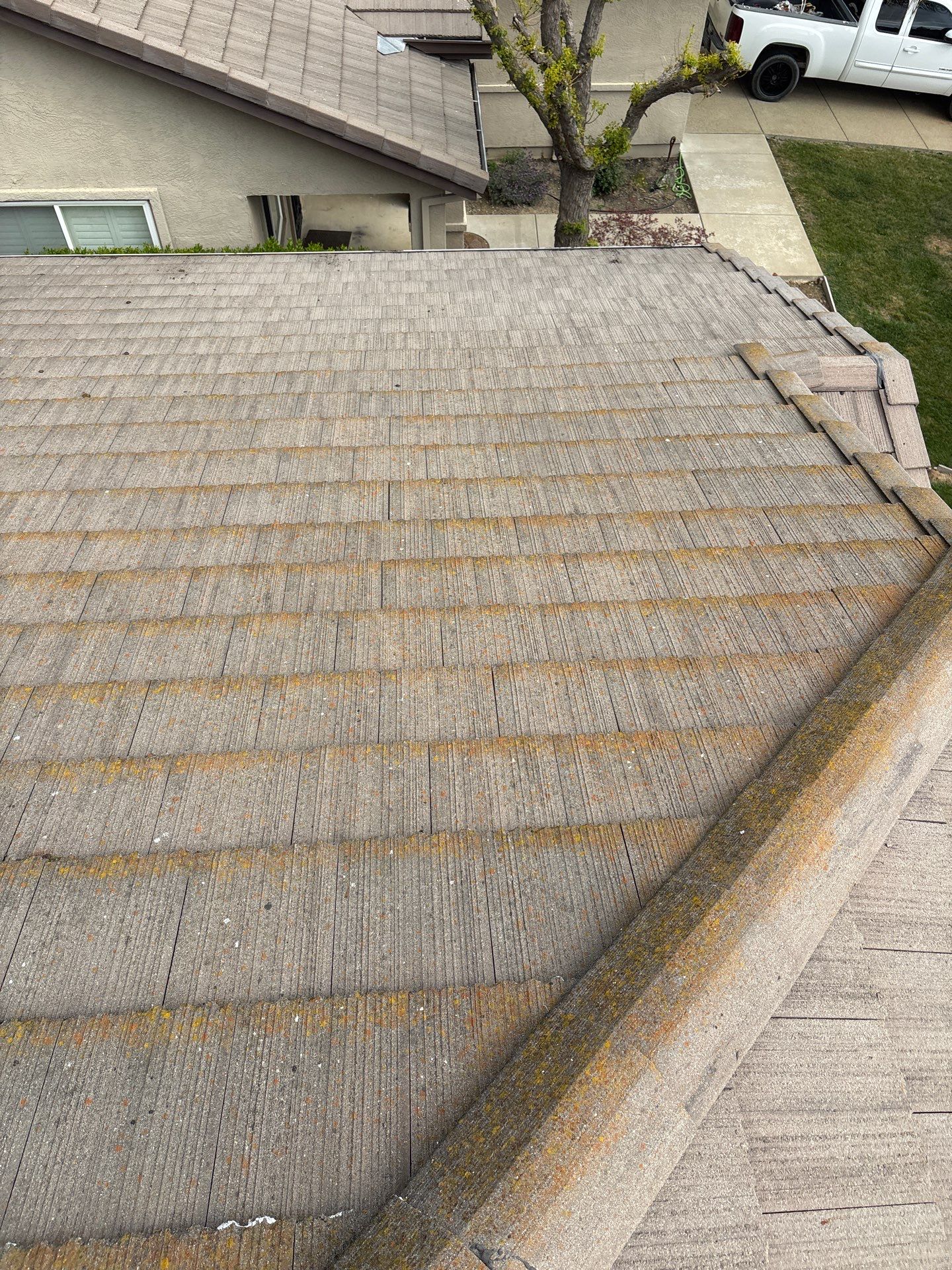 Moss Removal by Top Elevation