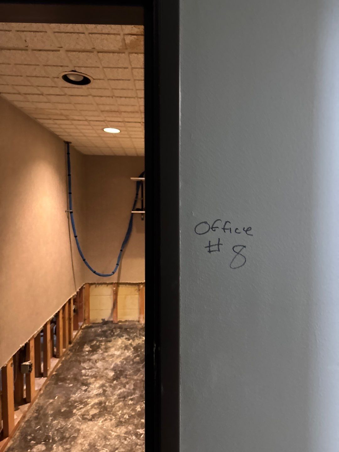 Project in Royal Oak by EzDry Water Mitigation & Property Restoration