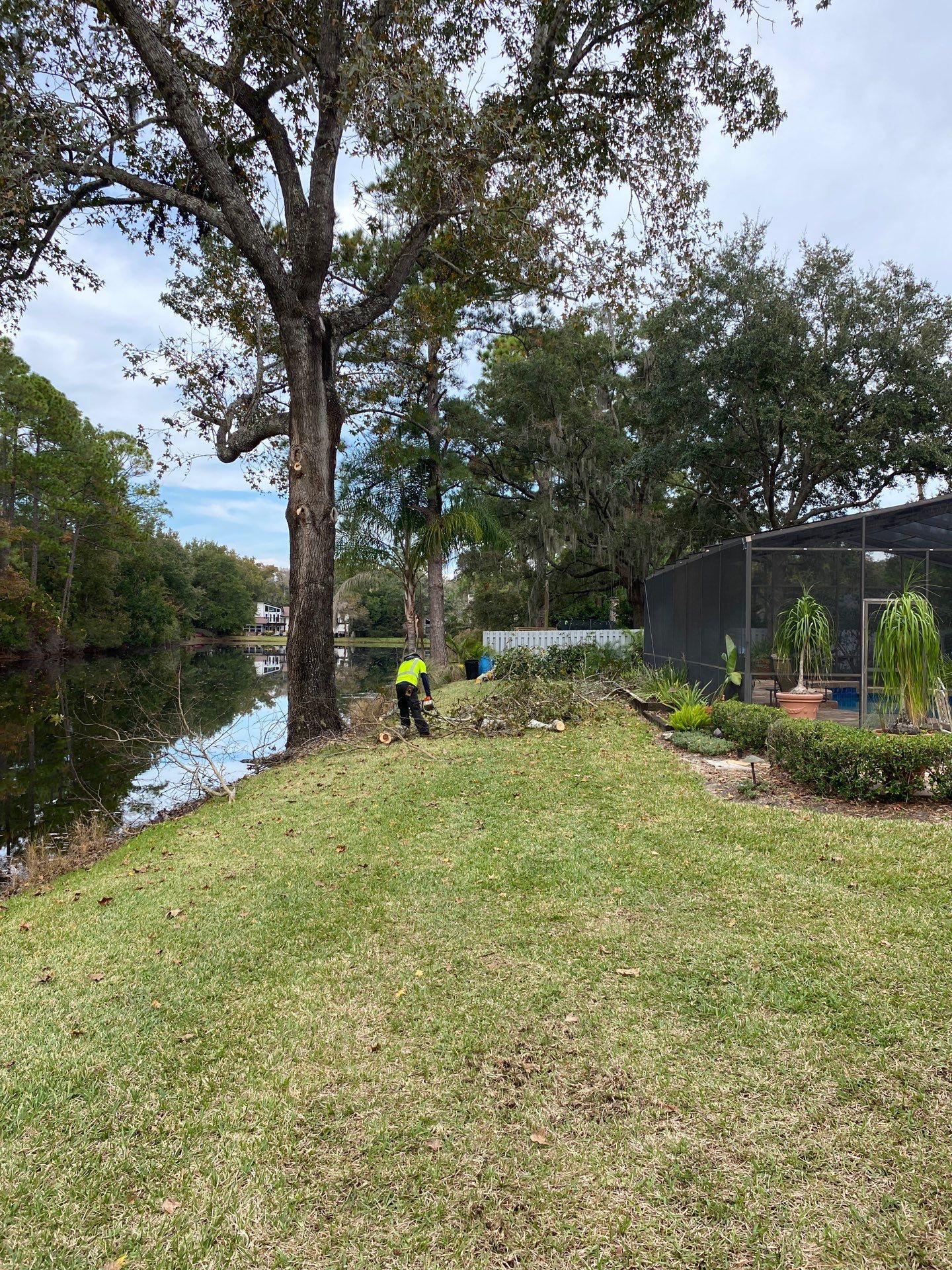 Deerwood Resident | Tree Trimming & Removal by ProGreen Services