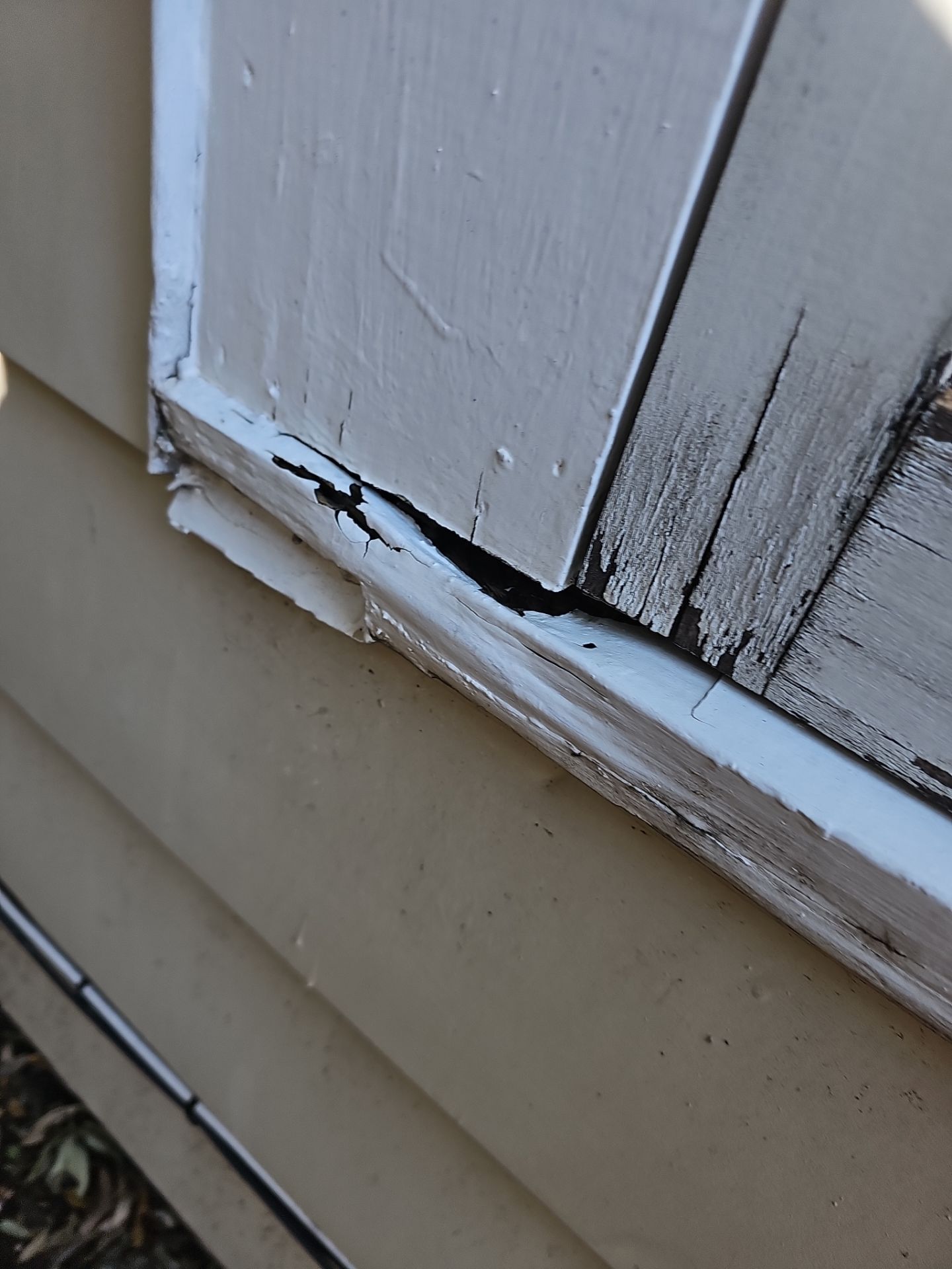 Metal Roof Replacement, Siding, Insulation, Windows, & Gutters. by Action Exteriors