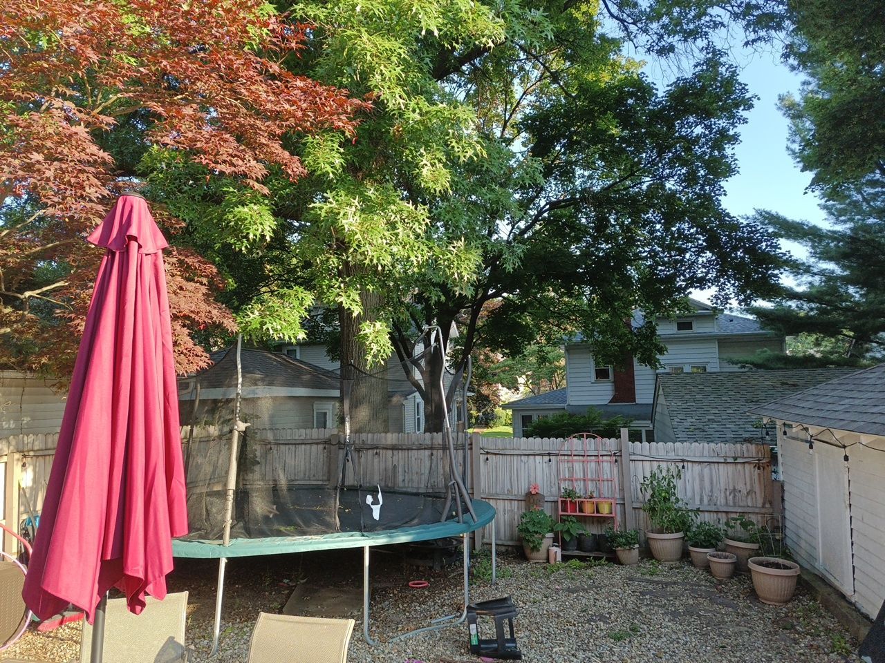 Tree Trimming using Tree Pruing by Mike Jones & Sons Tree Service LLC 