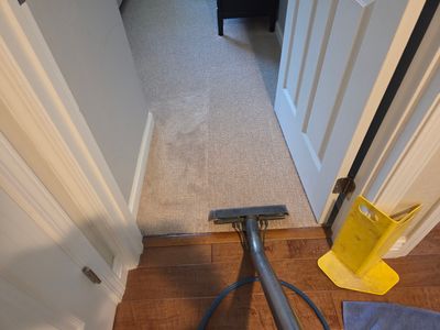 Carpet Cleaning of Traffic Areas
