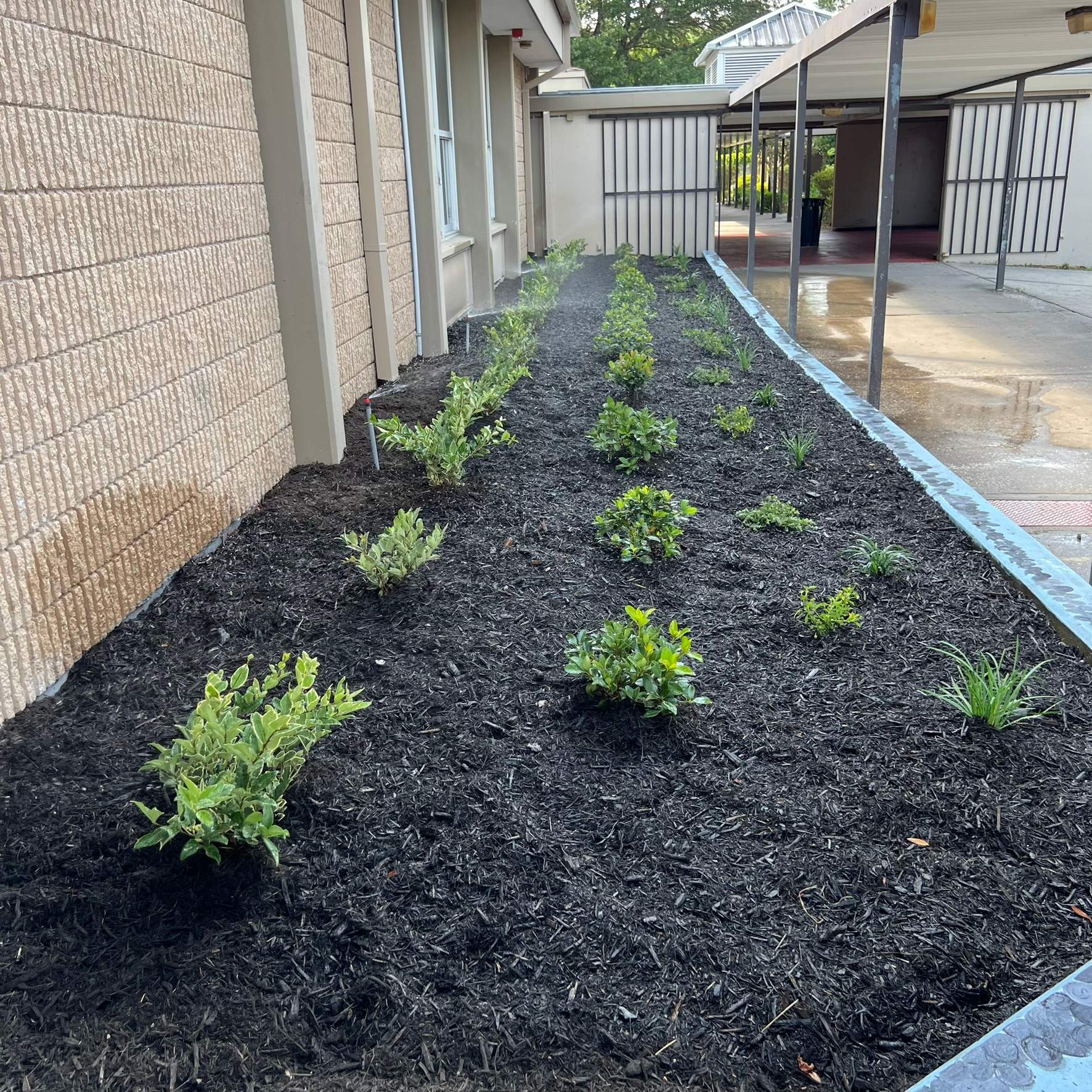 Landscape Install | Wilkinson JHS by ProGreen Services