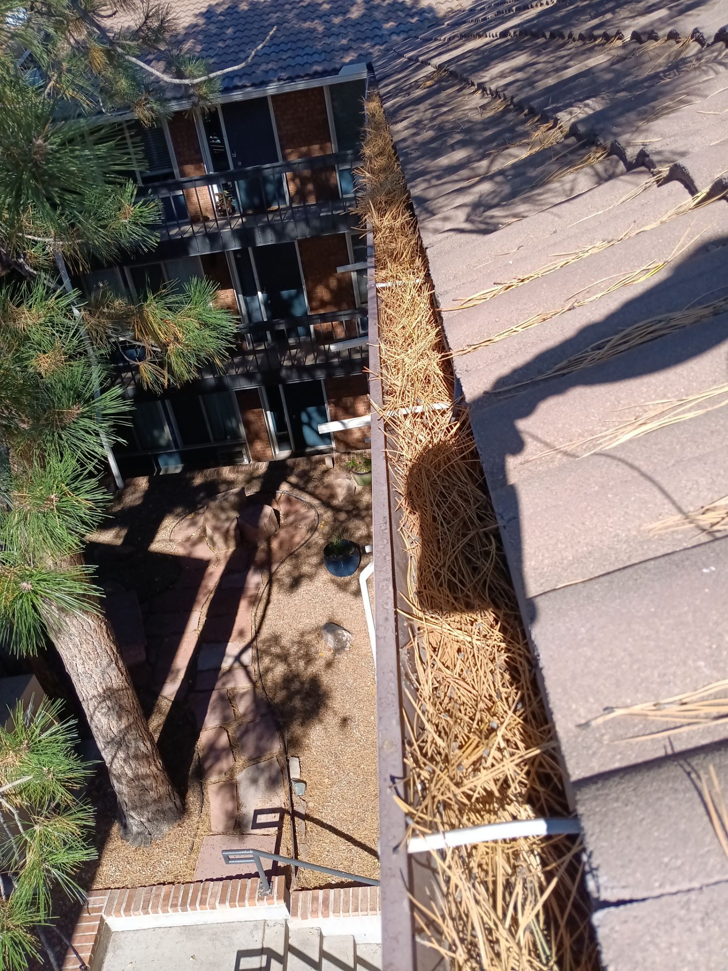 Commercial gutter cleaning Georgia before photo with filled gutters