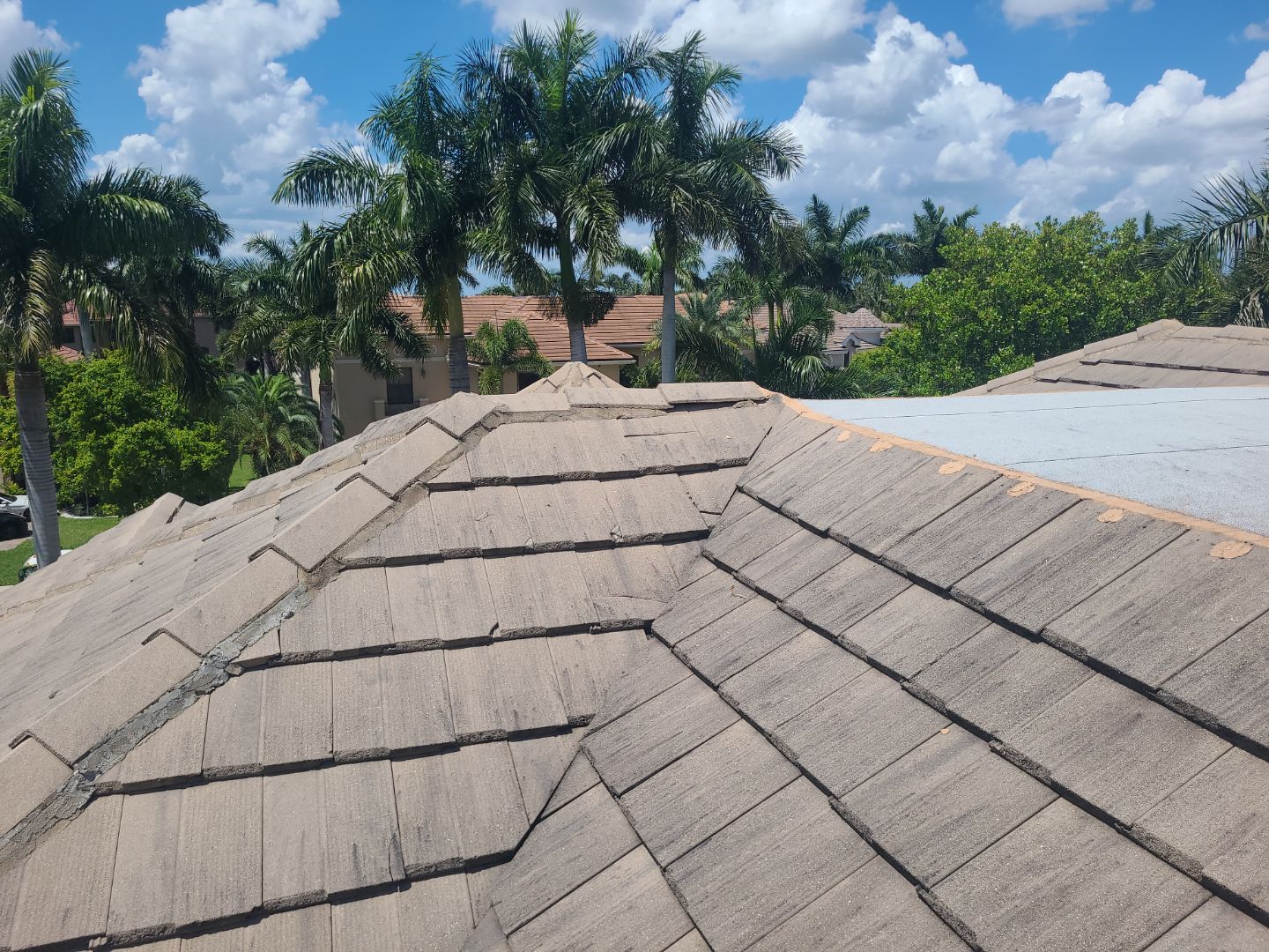 Concrete Tile Roof Repair and Underlayment Replacement in Wellington by Aastro Roofing