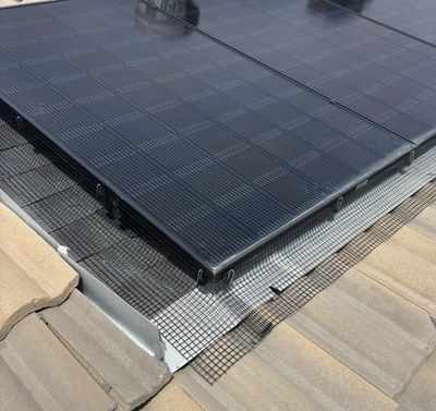 Bird Proofing