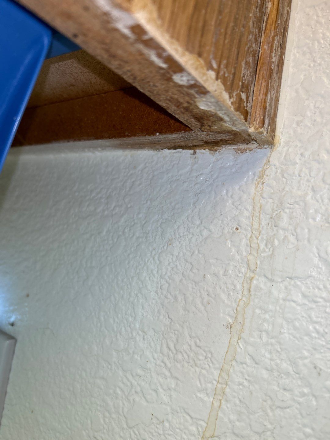 Water Damage by Accountable Home Services