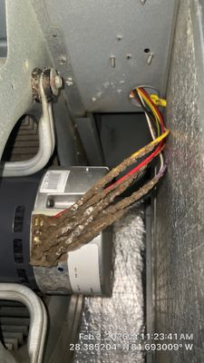 Air Duct Bathroom Exhaust Fans Cleaning in Clermont