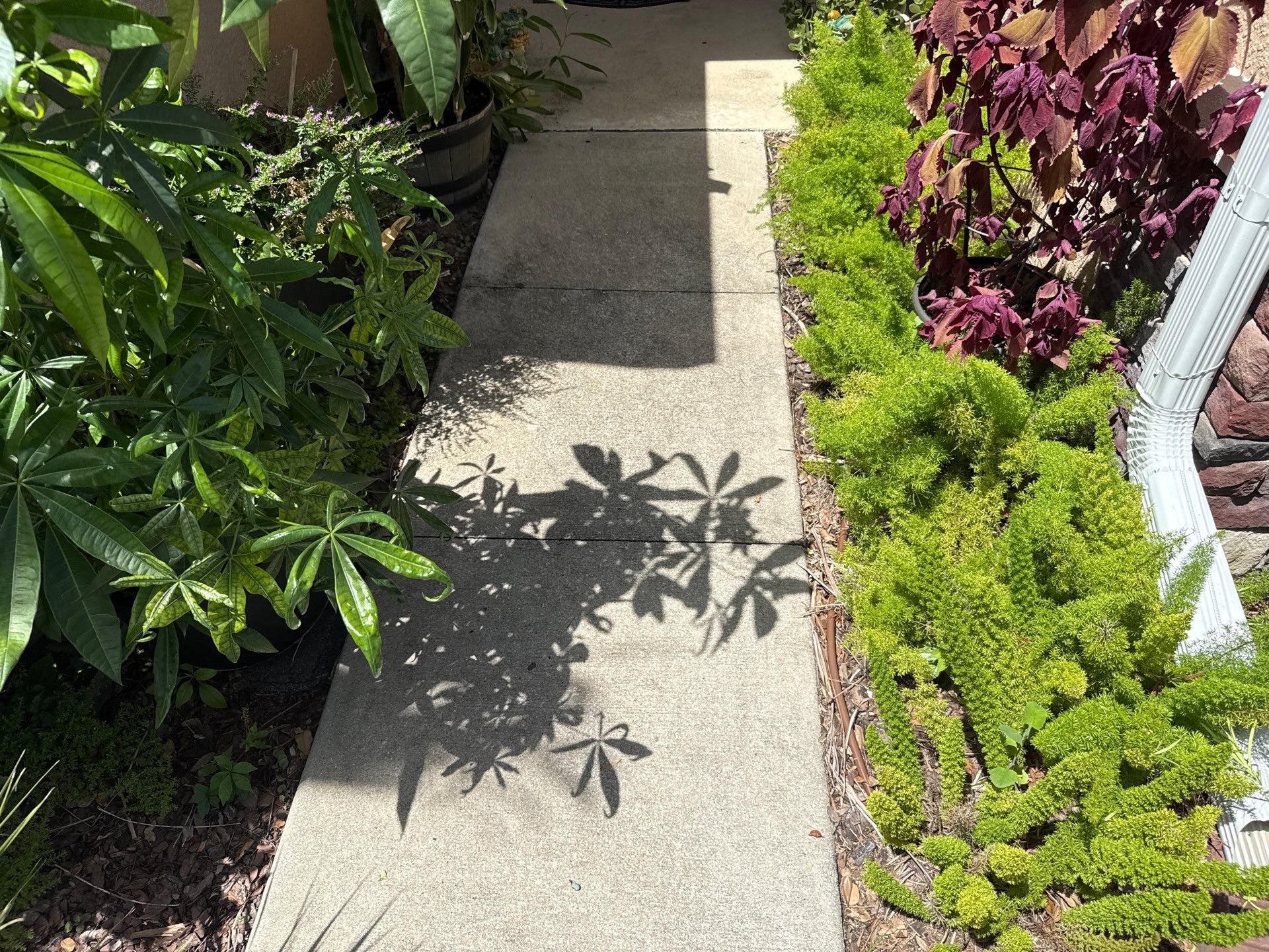 Concrete Driveway Cleaning – Covered Bridge Estates, Ellenton, FL by Sunshine AquaWash