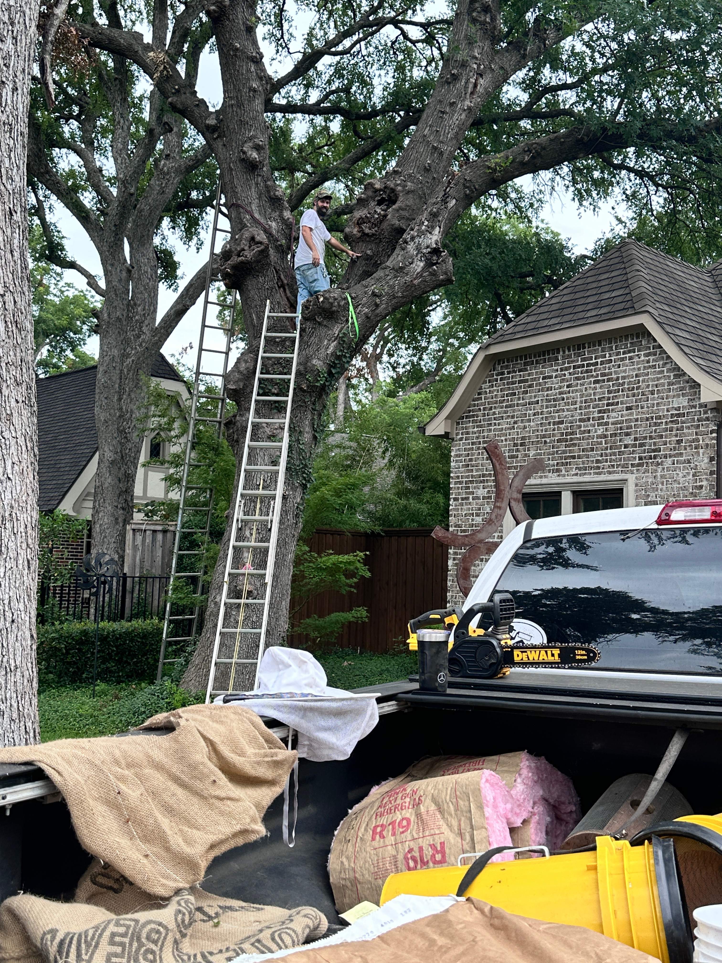 Smile! by Rockwall Honey Bee Company