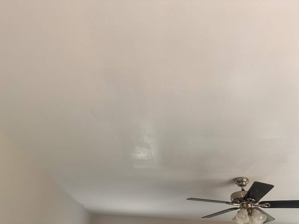 Ceiling Repair with Mold Treatment & Paint Restoration by Laser Focused Solutions LLC
