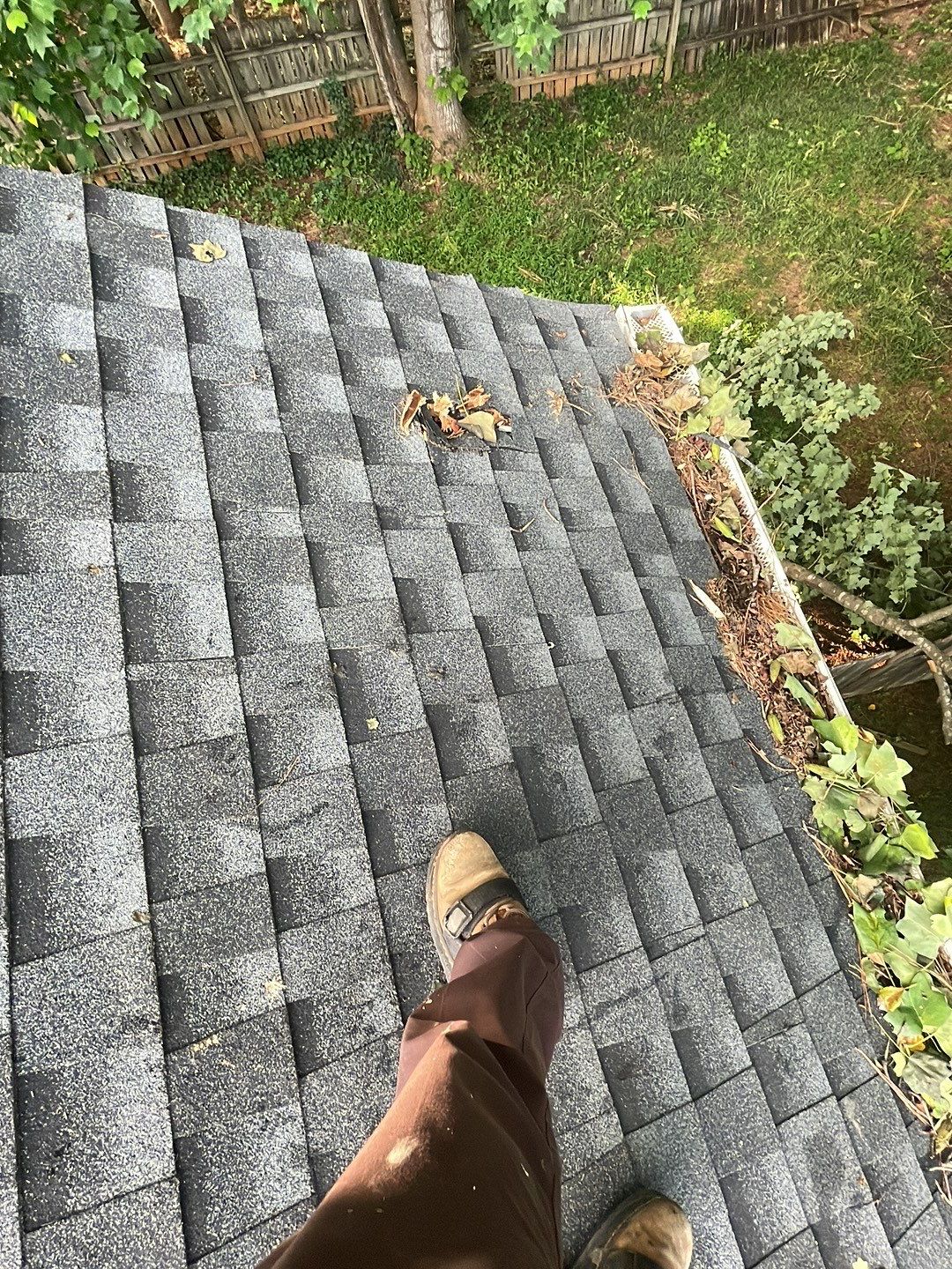 🌳 Tree Limb Hole Repair by Georgia Roof Advisors