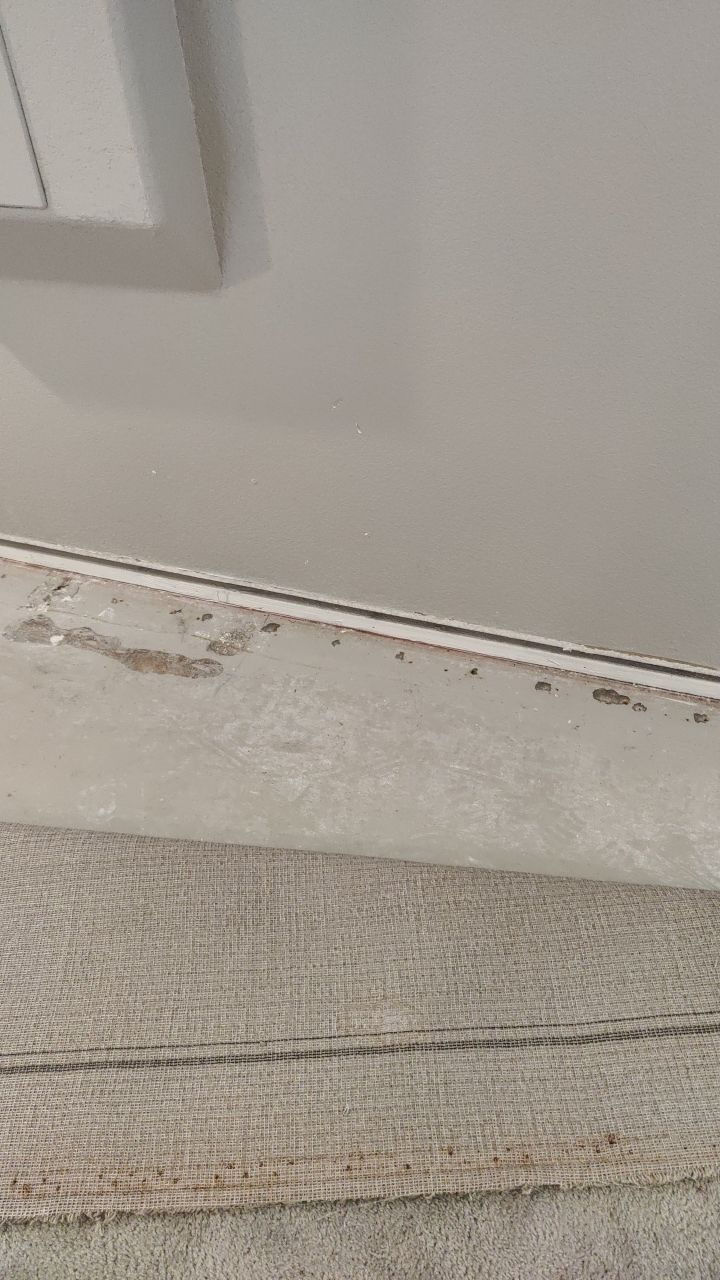 Mold Remediation  by Accountable Home Services