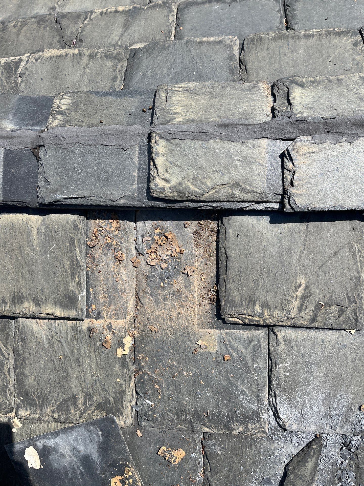 Arlington: Buckingham Slate and Carlisle Syntec TPO Roof by RM Banning, Inc.