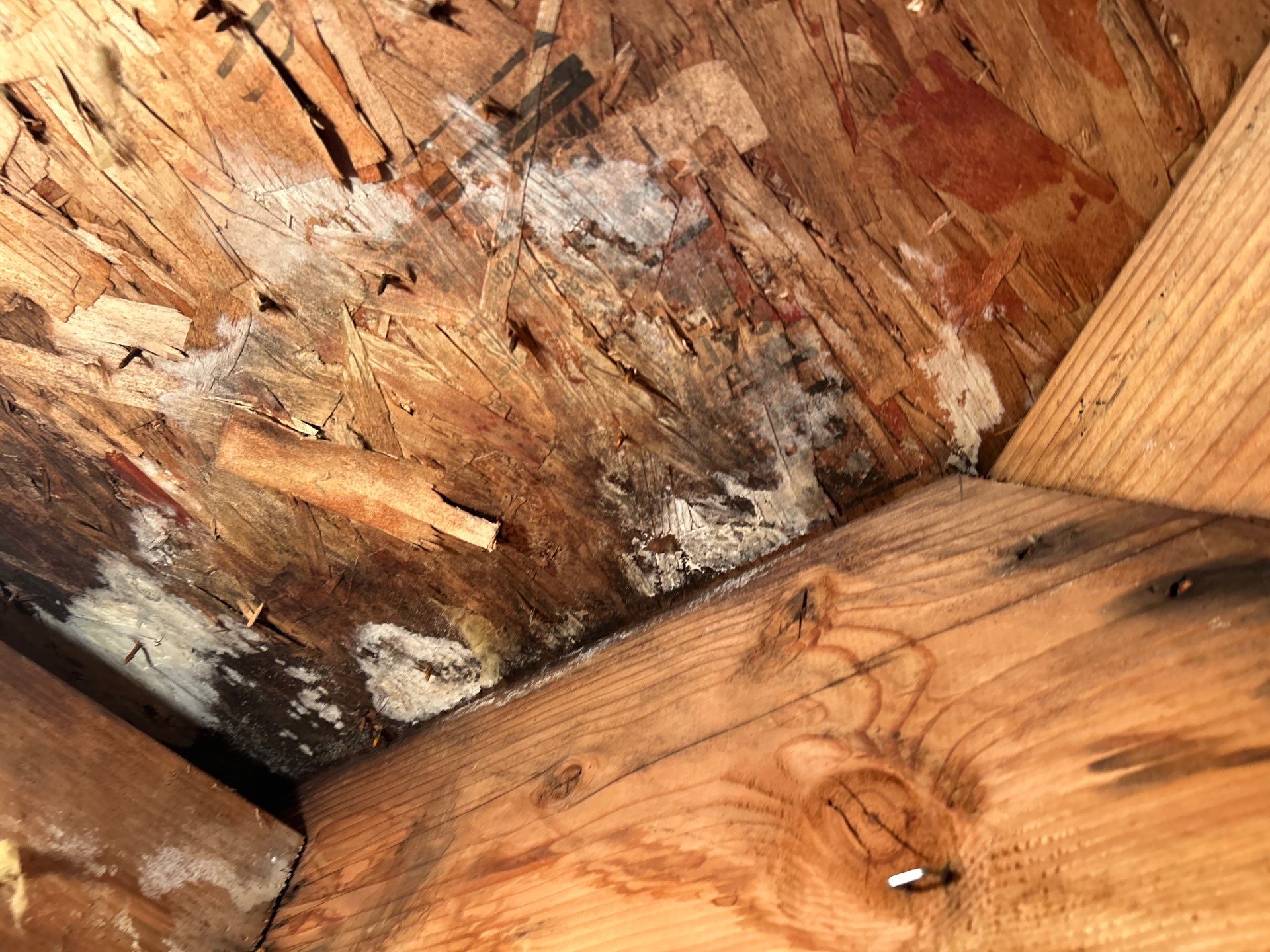 Water Damage Restoration by Accountable Home Services