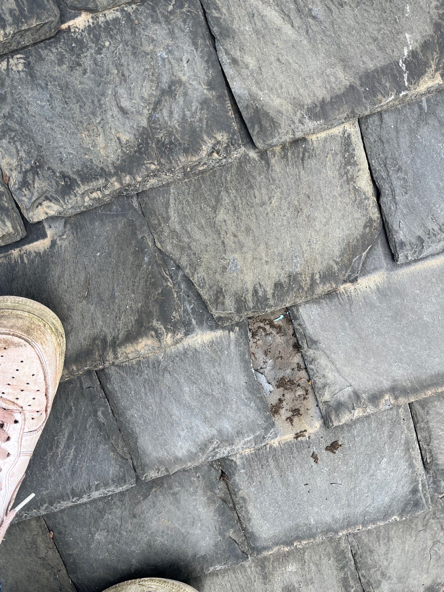 Arlington: Buckingham Slate and Carlisle Syntec TPO Roof by RM Banning, Inc.