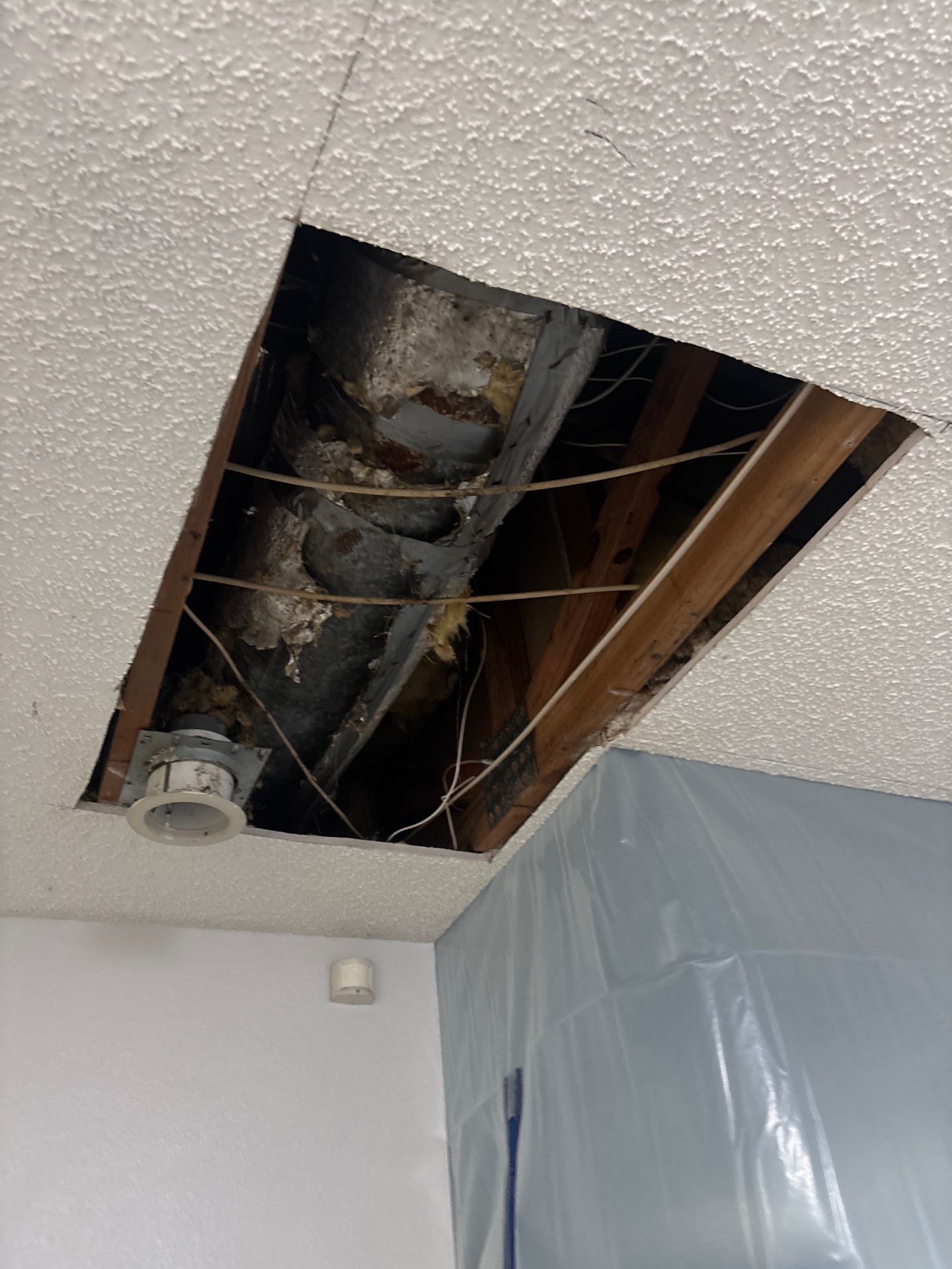 Mold Removal In Sarasota Florida by Ampm Restoration Services