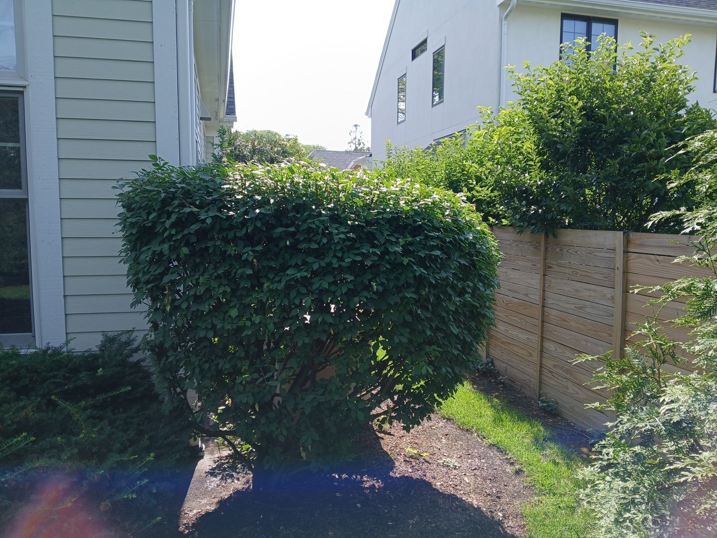 Lisa C. - Arlington Heights, IL by A&N