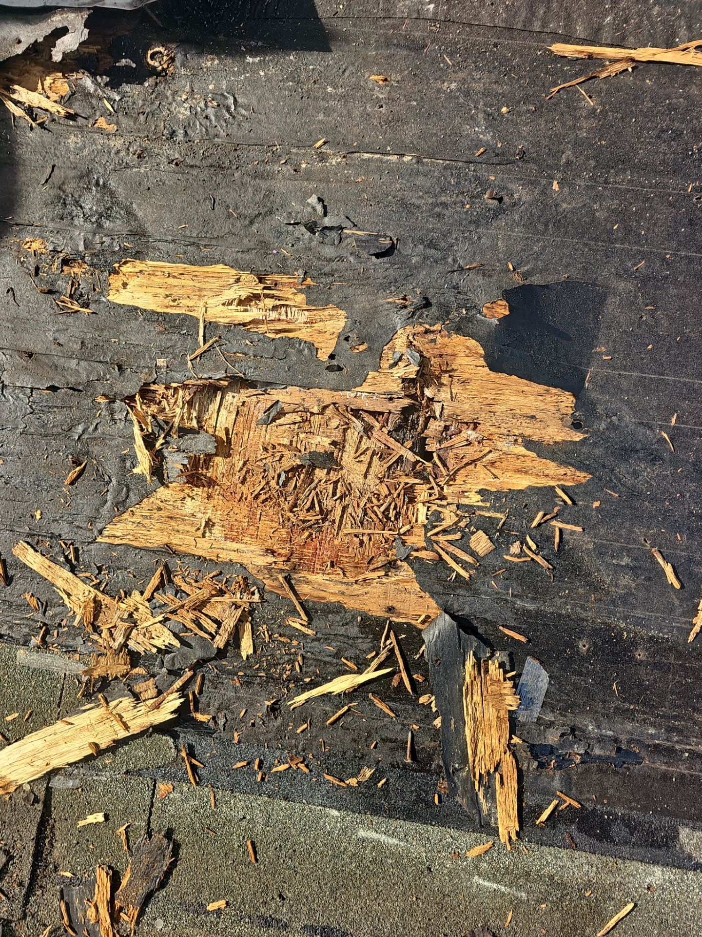 Roof Replacement by Winchester Roofing
