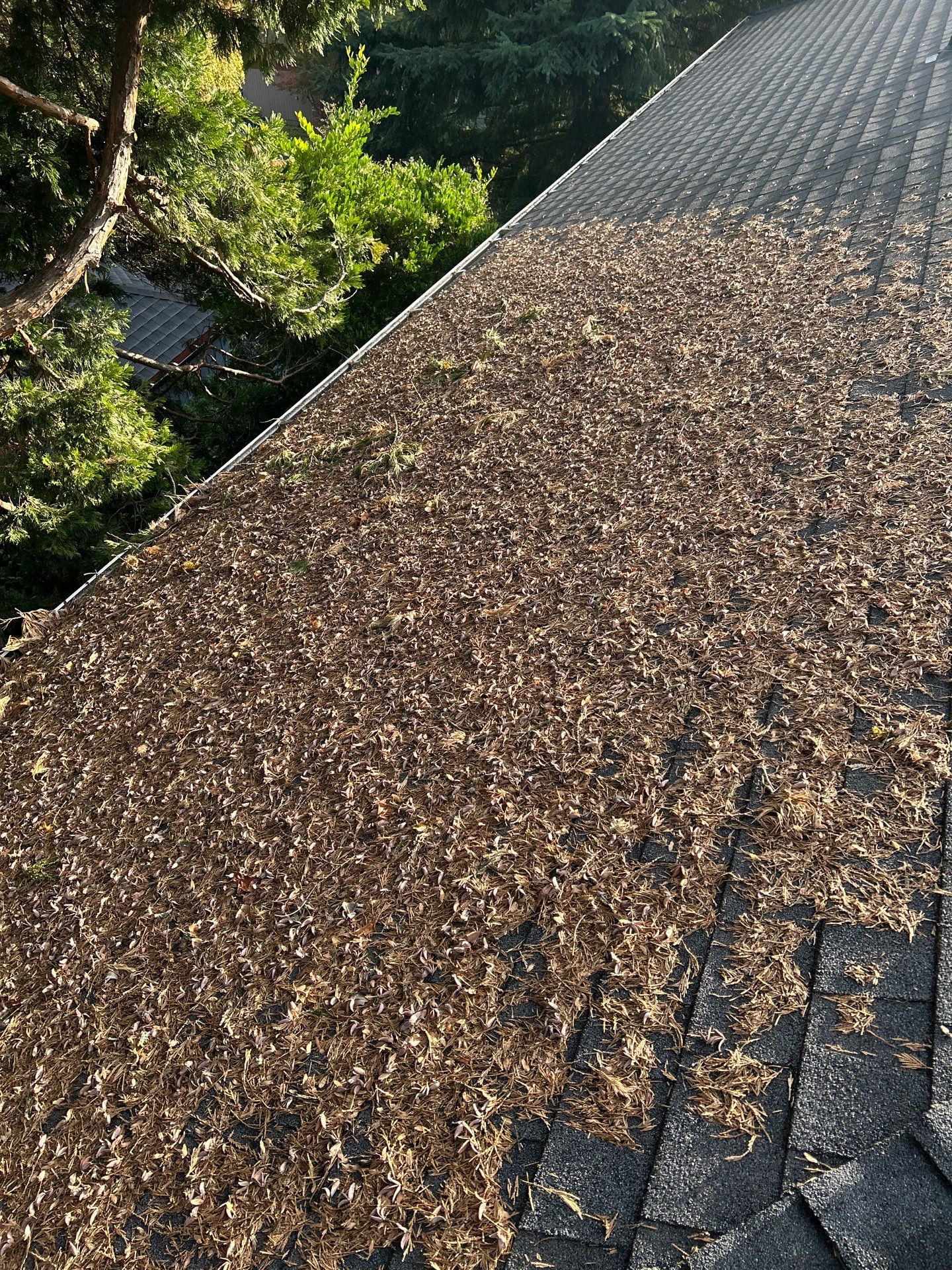 Roof Cleaning by Handyman State LLC